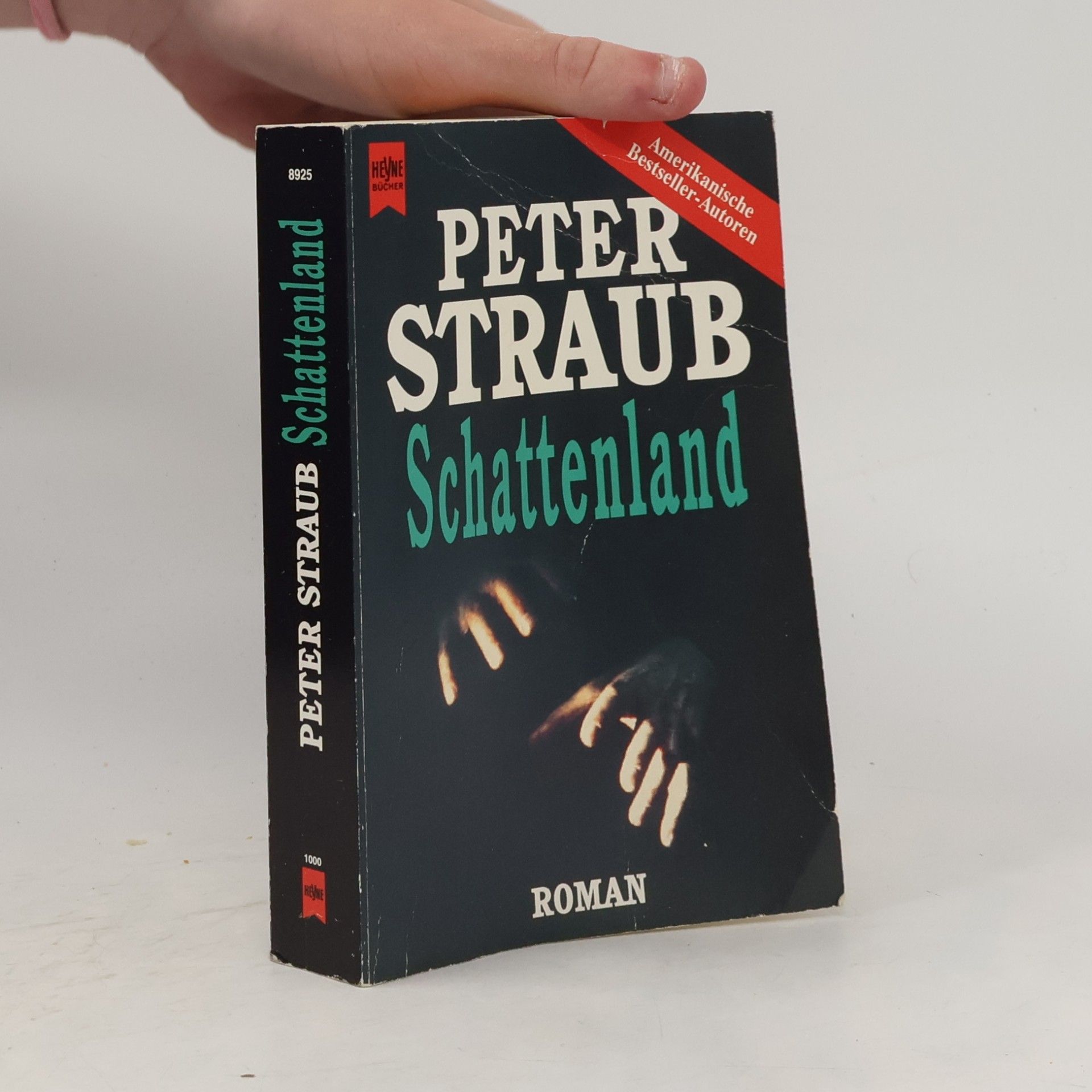 Peter Straub Schattenland