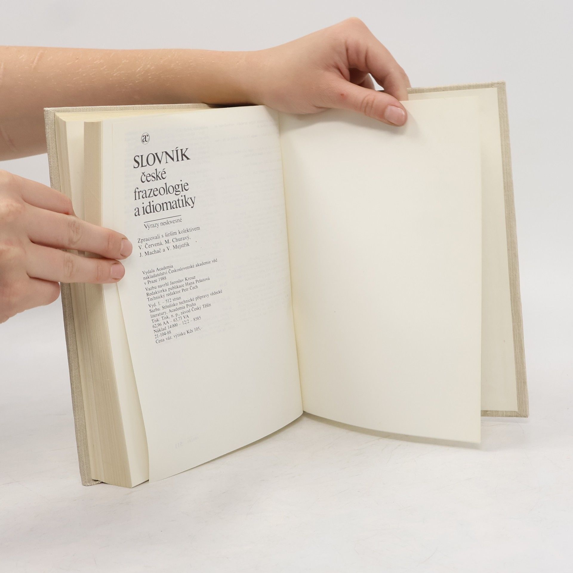 František Čermák Slovník české frazeologie a idiomatiky. Výrazy neslovesné