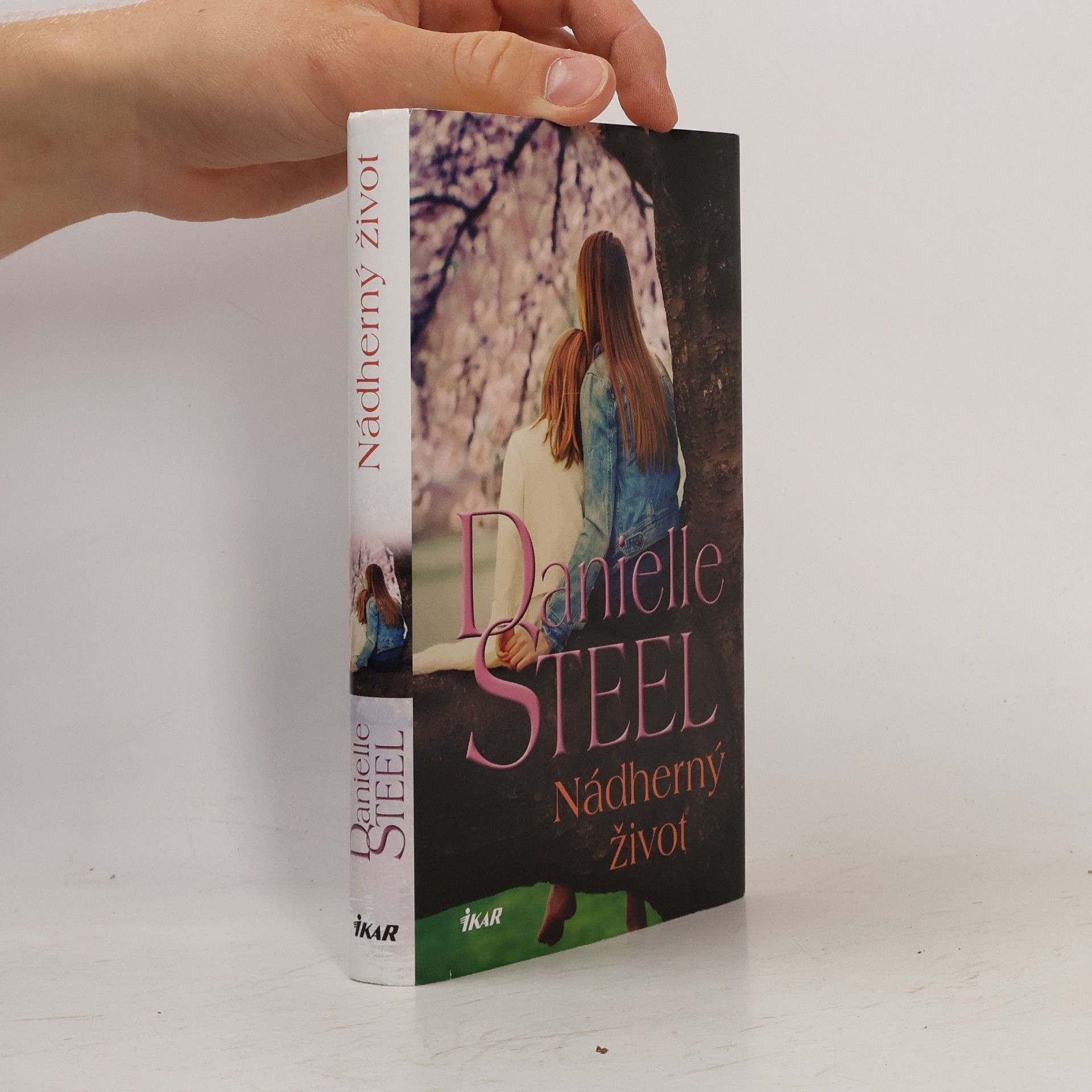 Danielle Steel Nádherný život