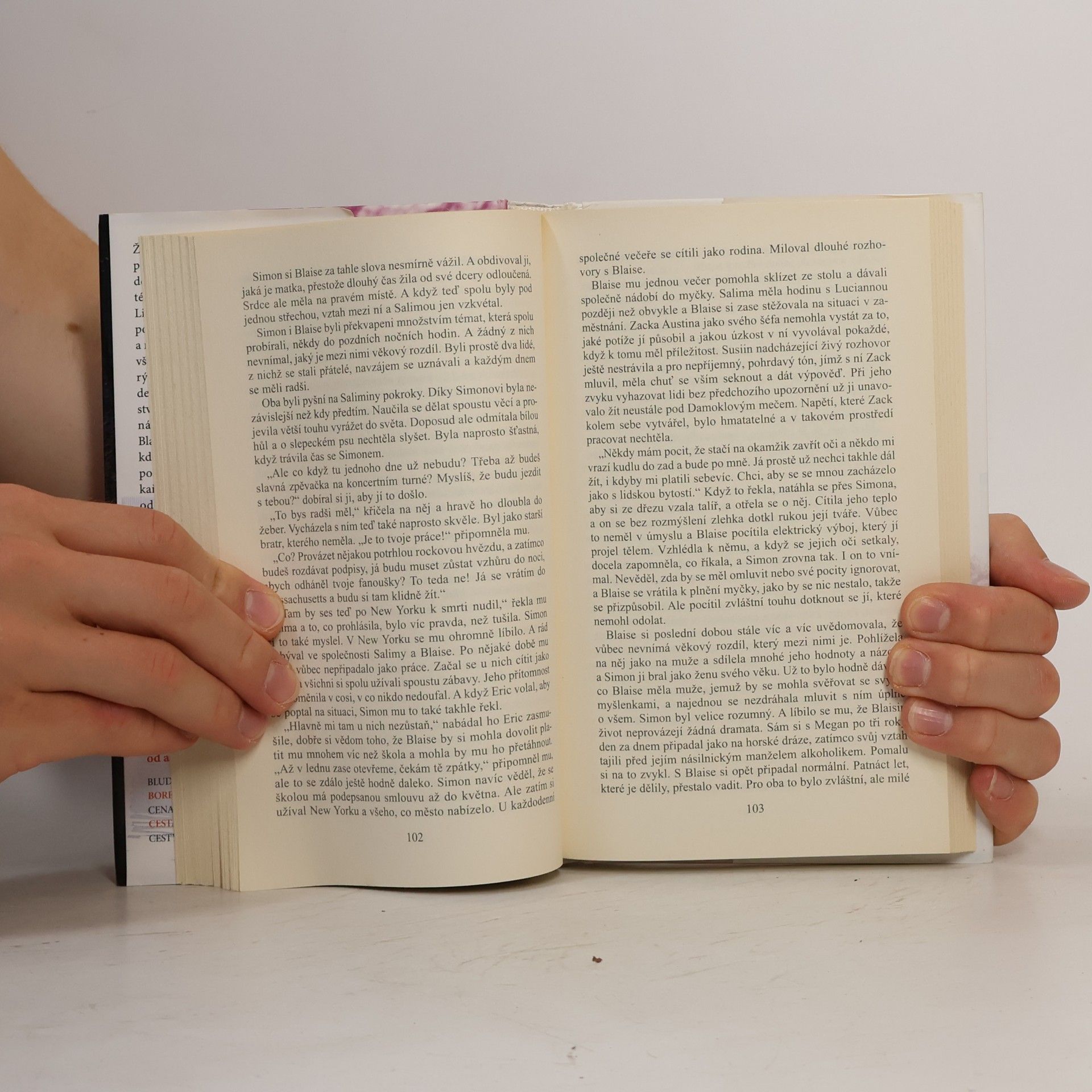 Danielle Steel Nádherný život