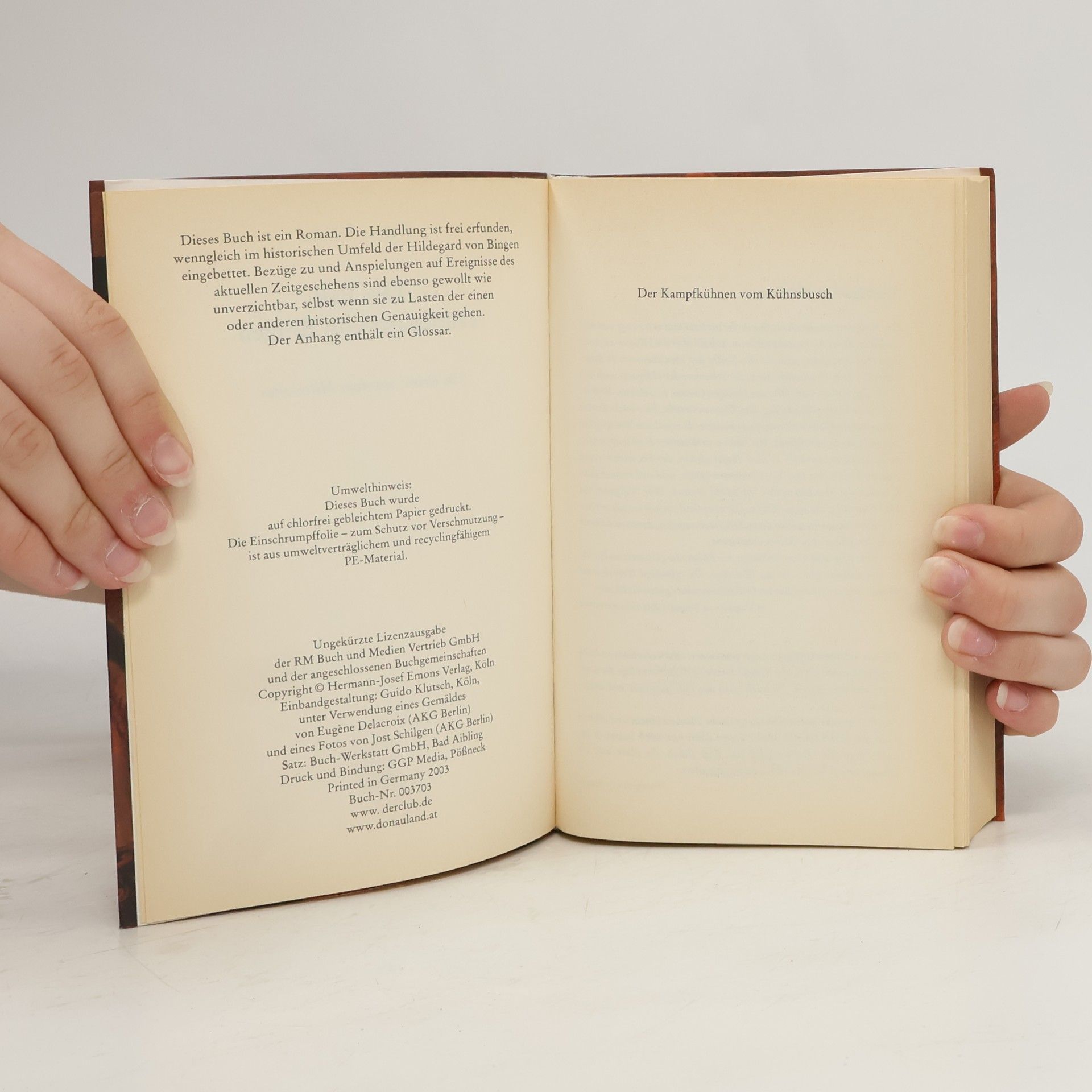 Edgar Noske Der Fall Hildegard von Bingen