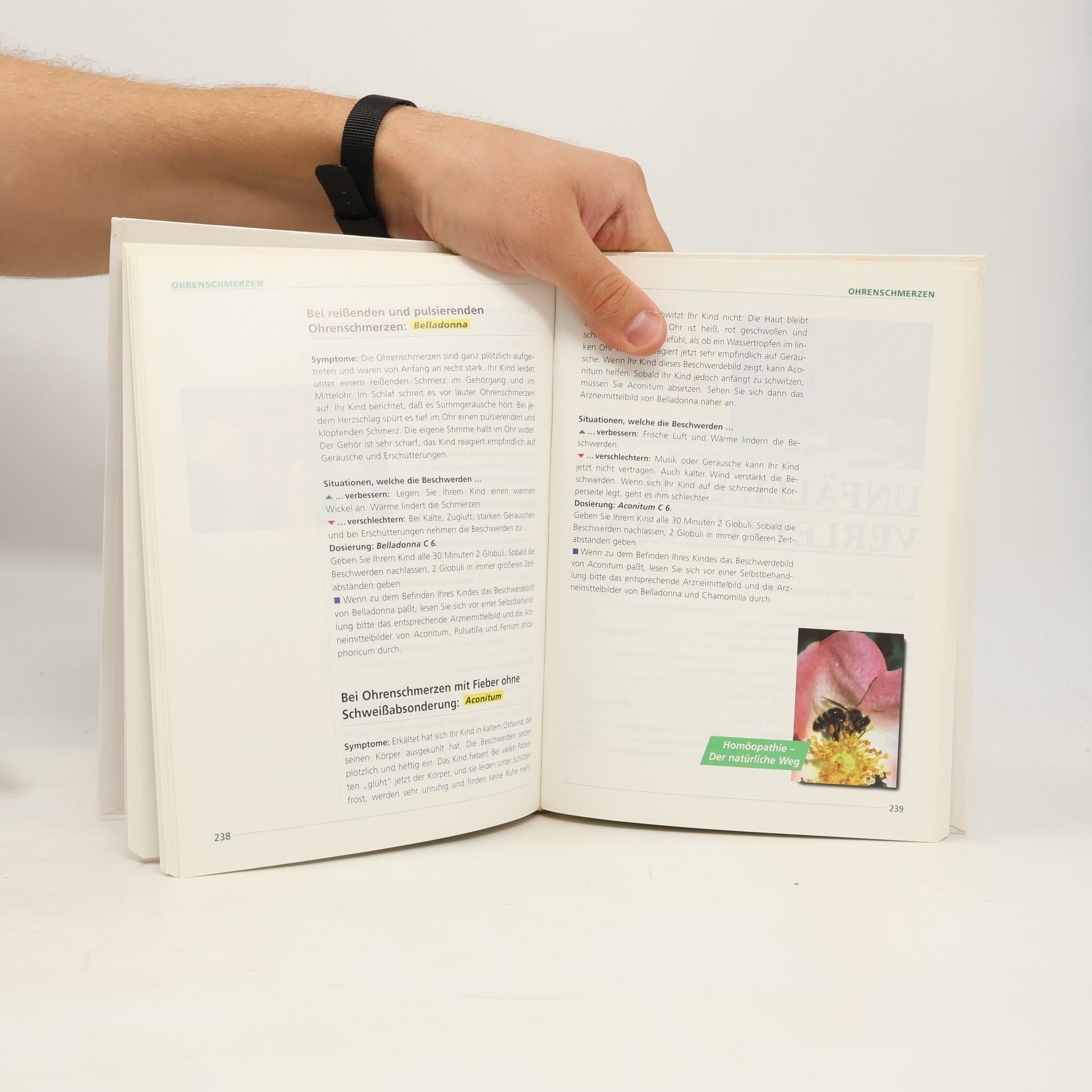 Autorenkollektiv Das neue grosse Buch der Homöopathie