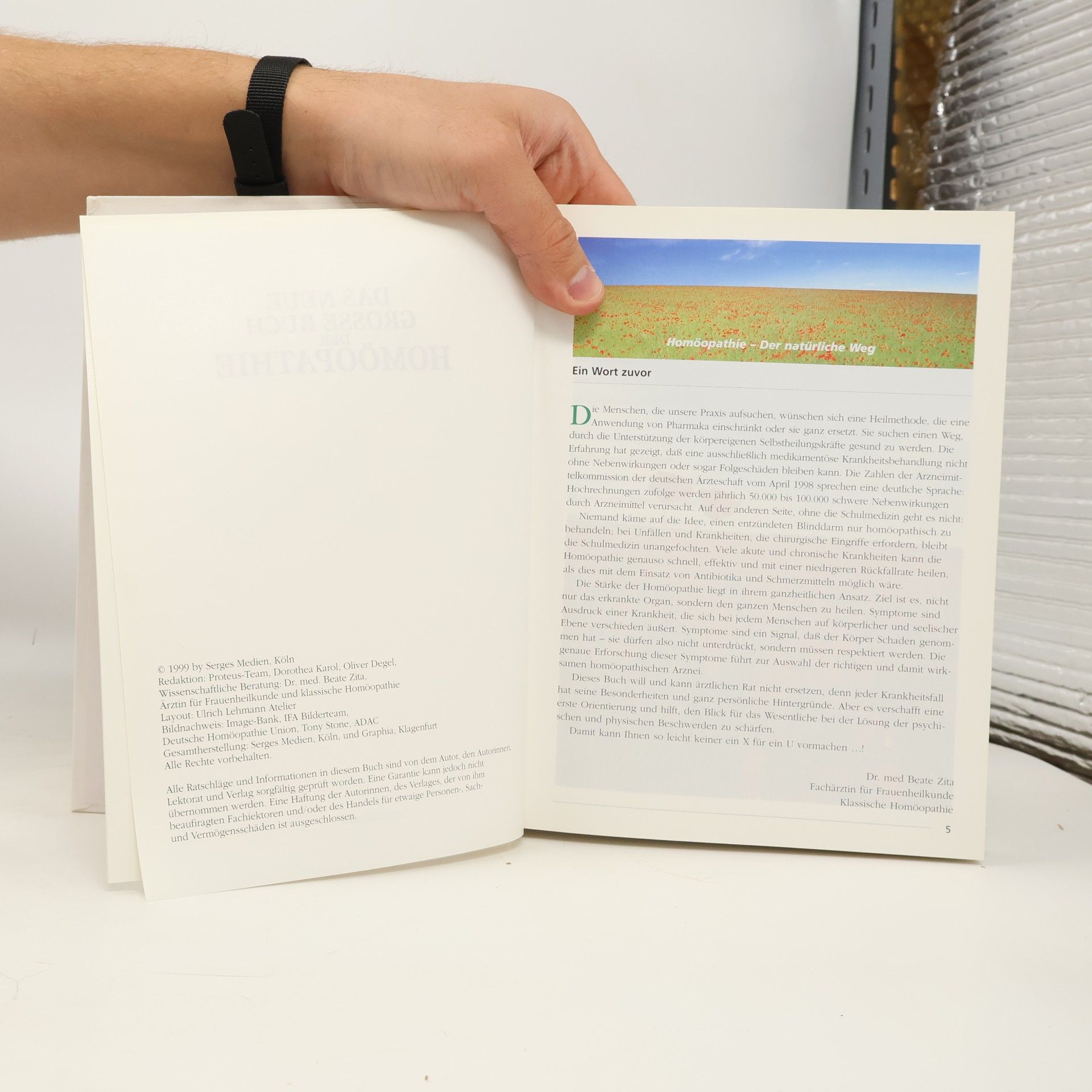 Autorenkollektiv Das neue grosse Buch der Homöopathie