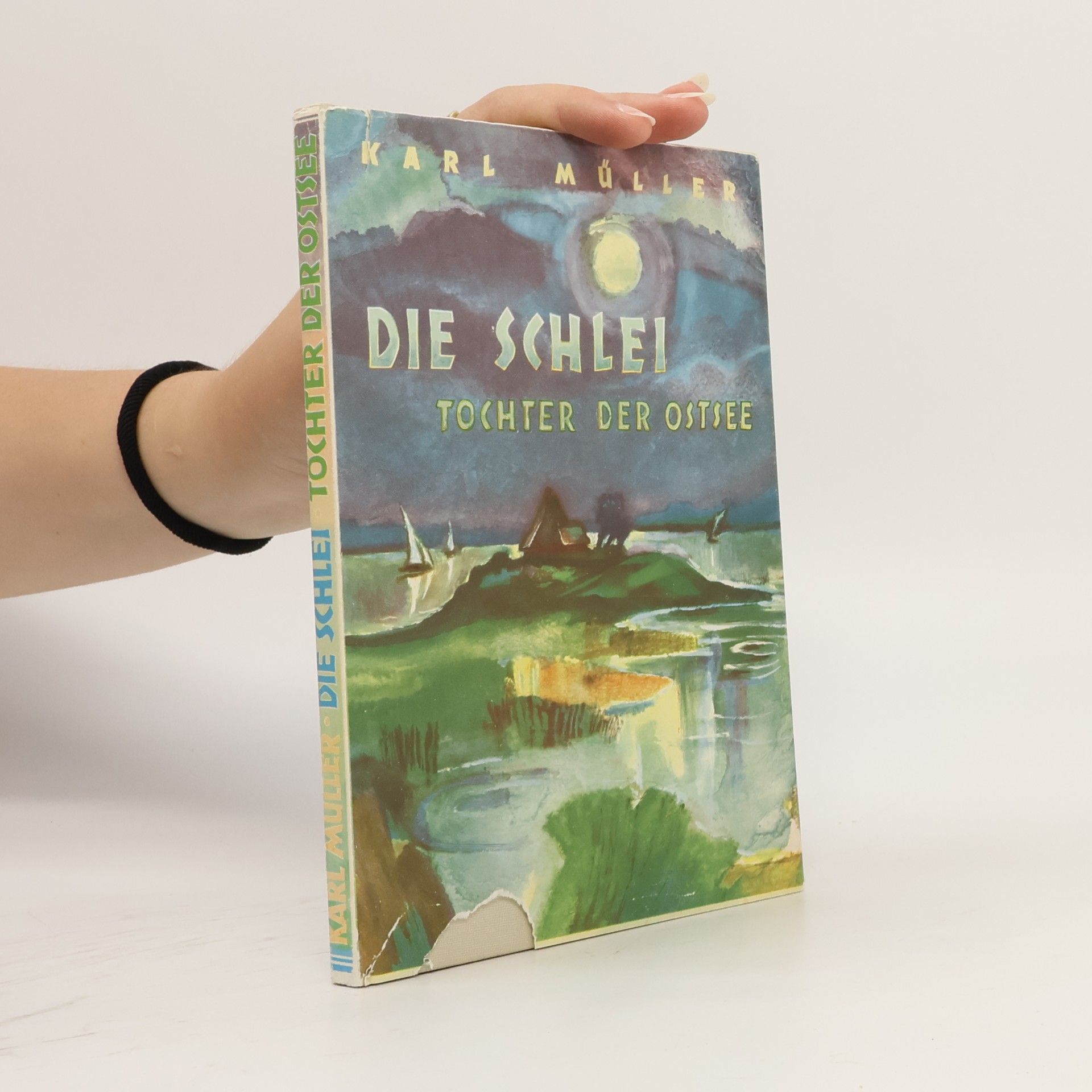 Die Schlei. Eine Tochter der Ostsee
