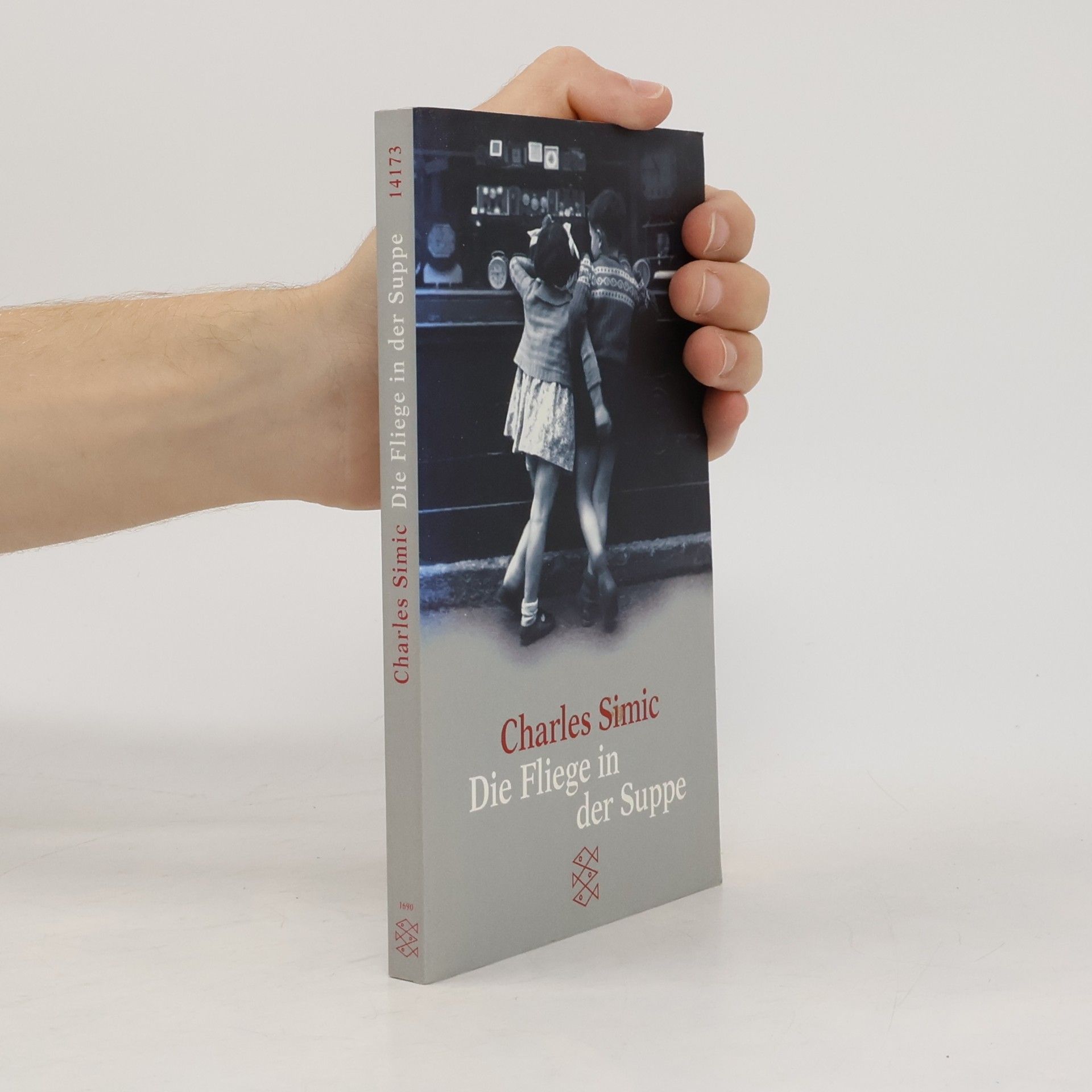 Charles Simic Die Fliege in der Suppe