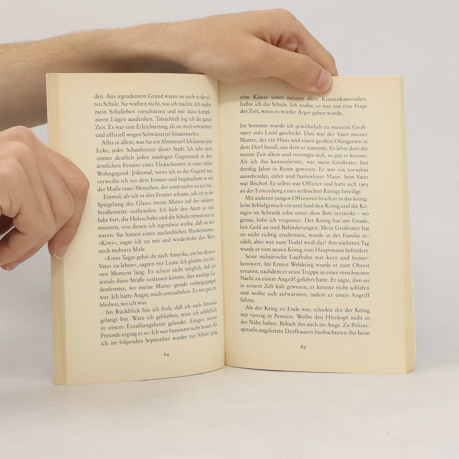 Charles Simic Die Fliege in der Suppe