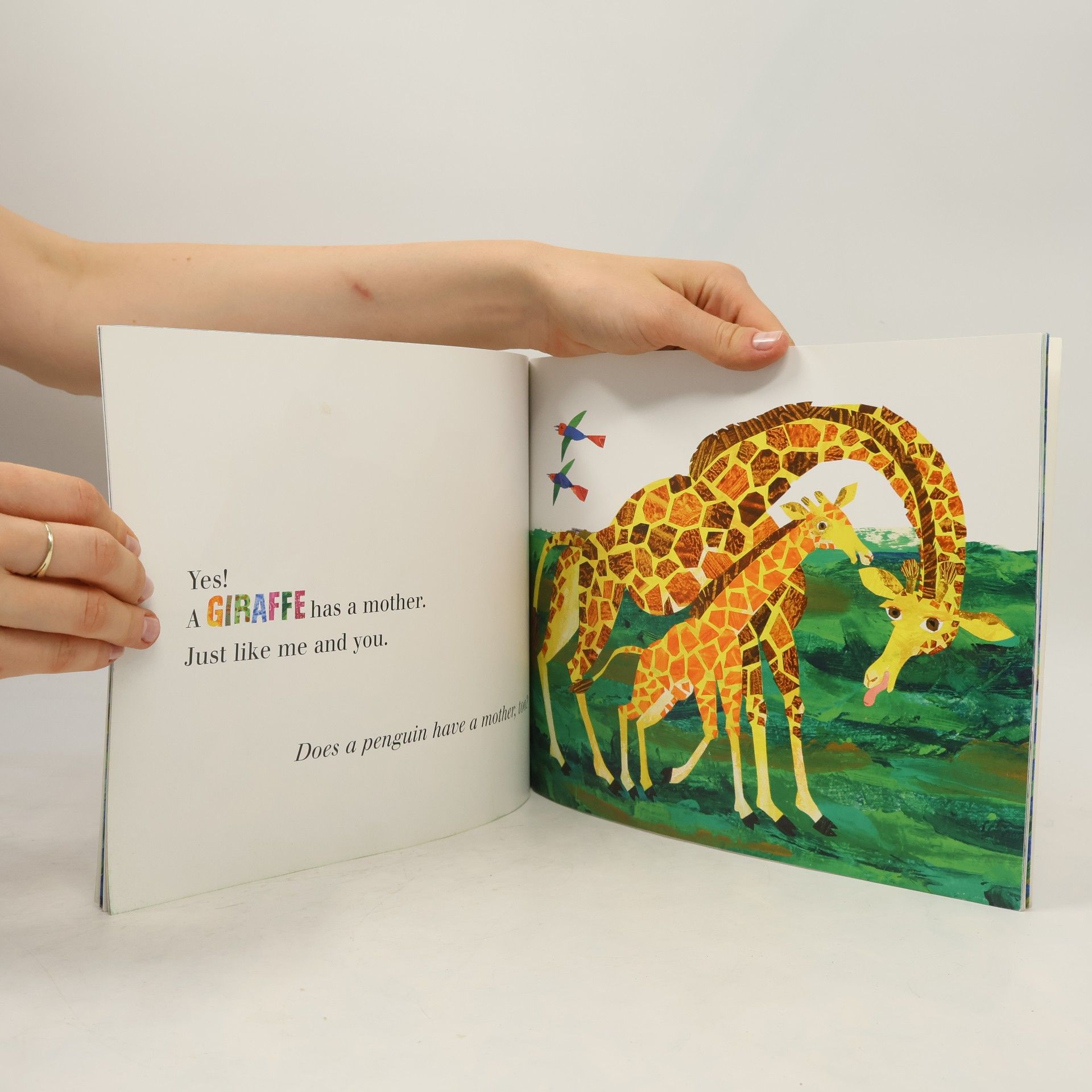 Eric Carle Does a Kangaroo Have a Mother, Too?