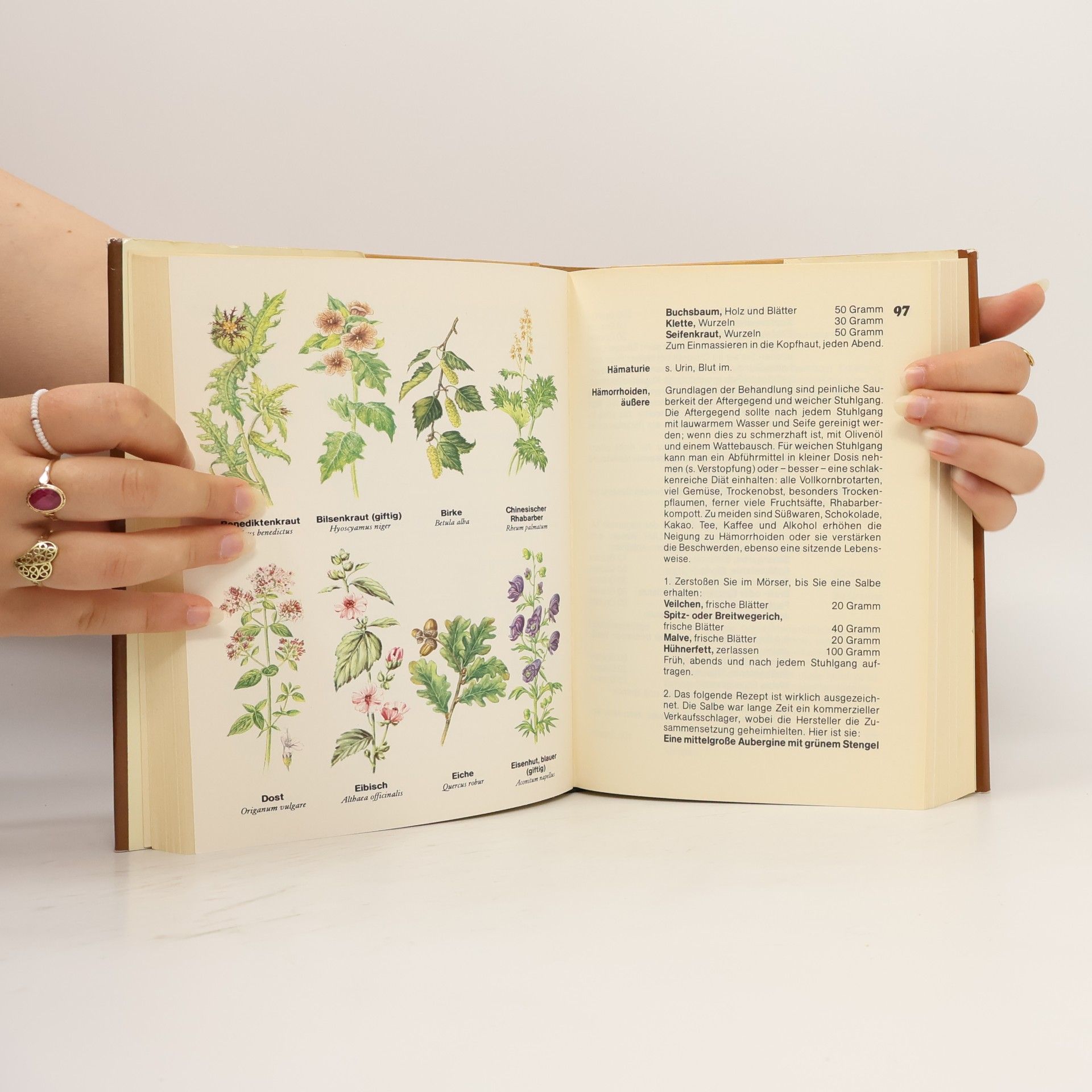 Renzo Corcos Das große Rezeptbuch der Heilkräuter für Gesundheit und Schönheit