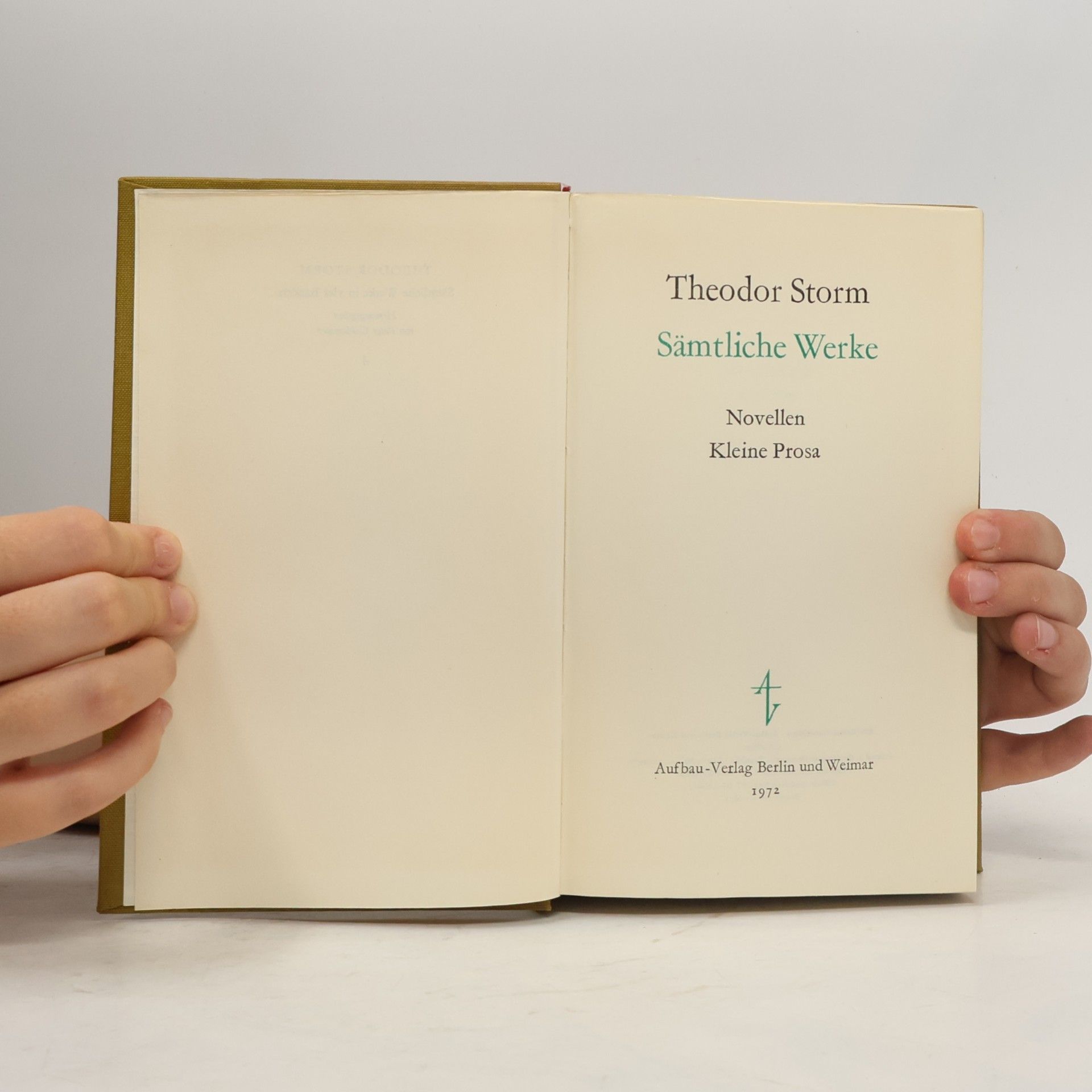 Theodor Storm Sämtliche Werke 4