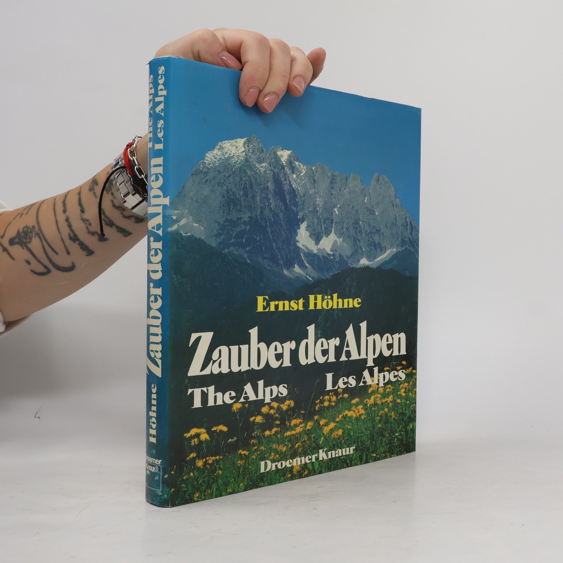 Ernst Höhne Zauber der Alpen