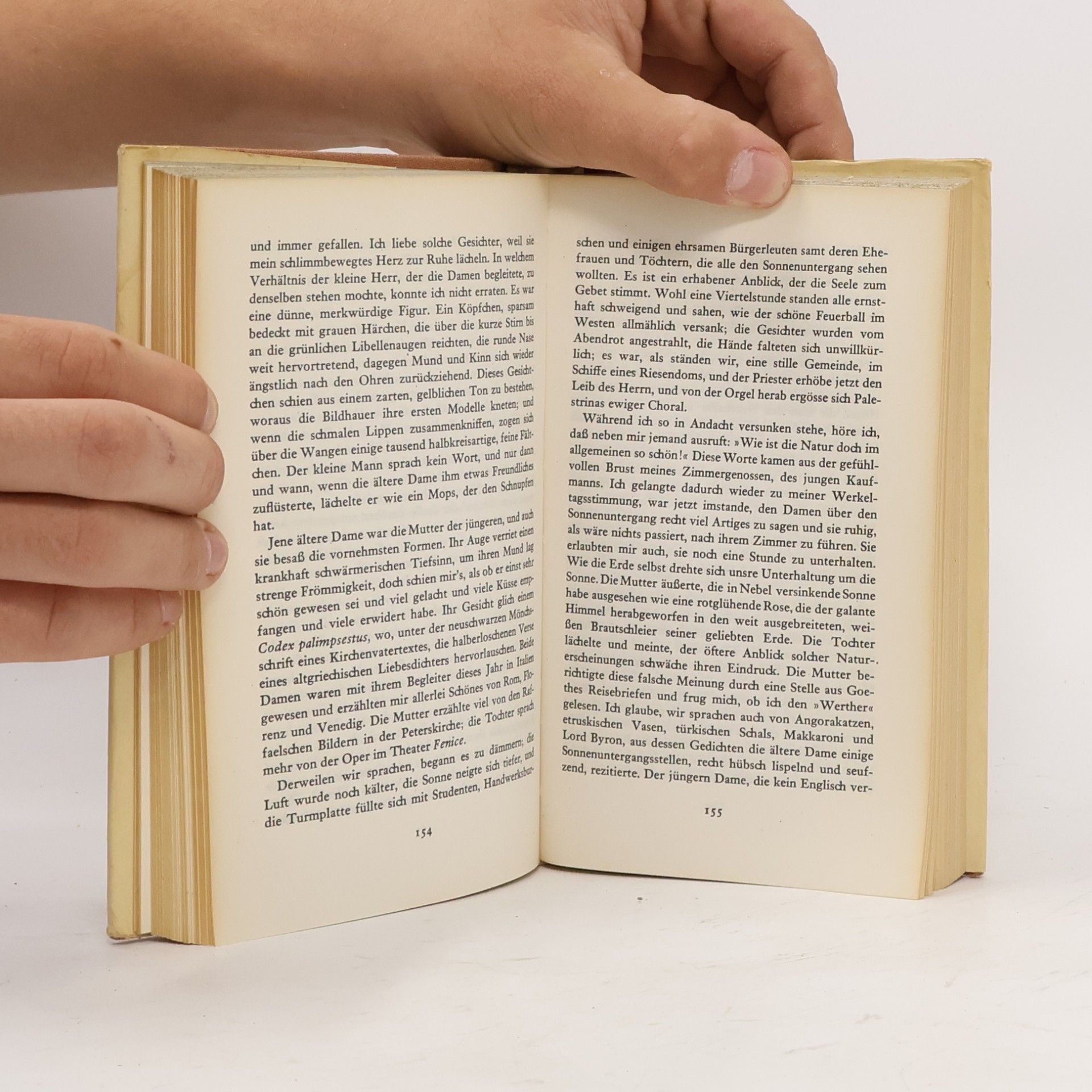 Heinrich Heine Reisebilder