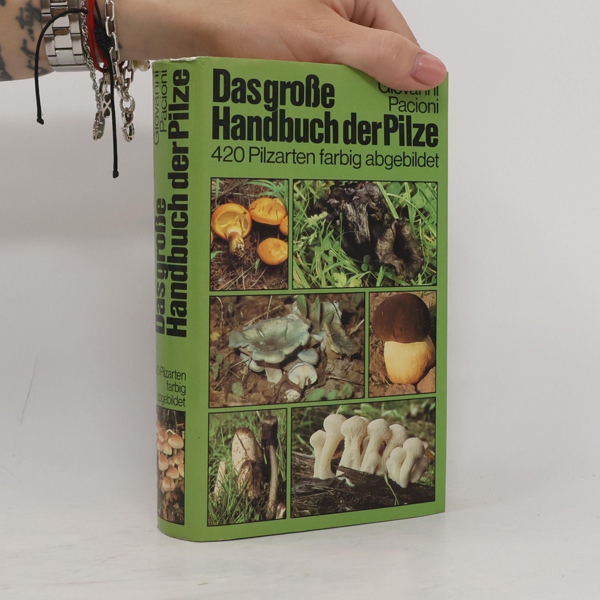 Giovanni Pacioni Das große Handbuch der Pilze