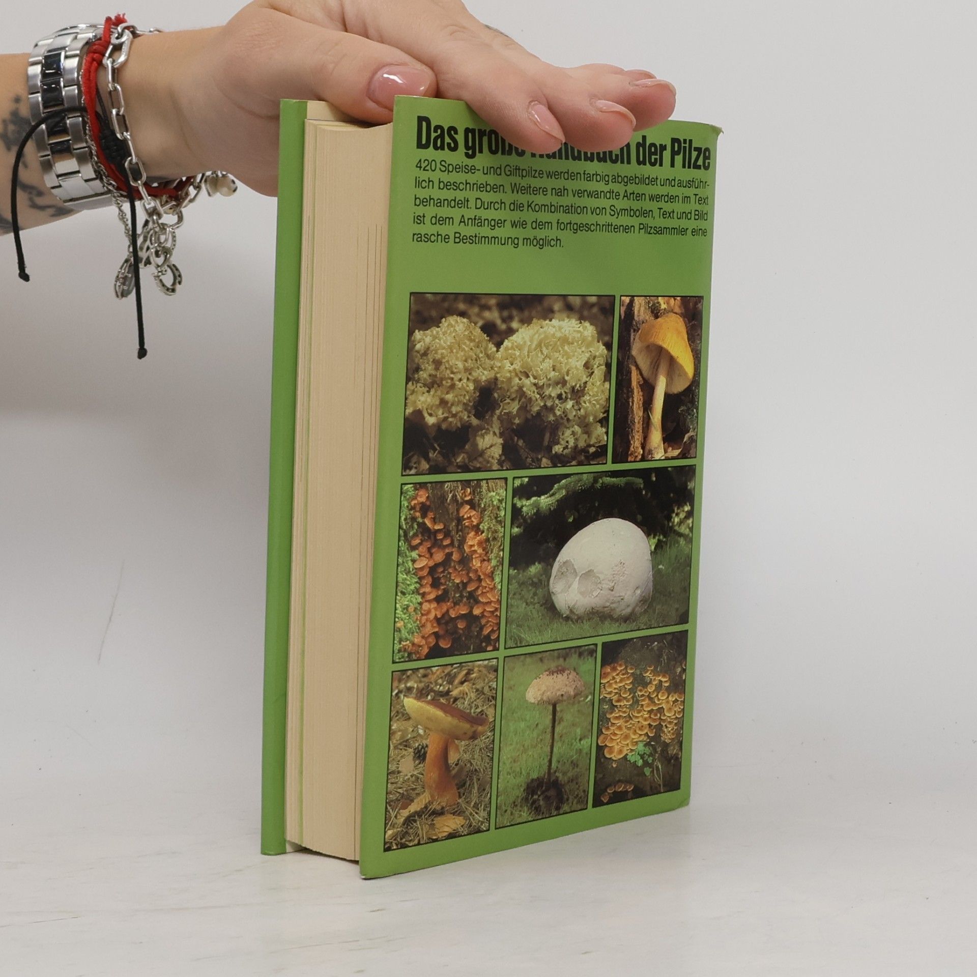 Giovanni Pacioni Das große Handbuch der Pilze