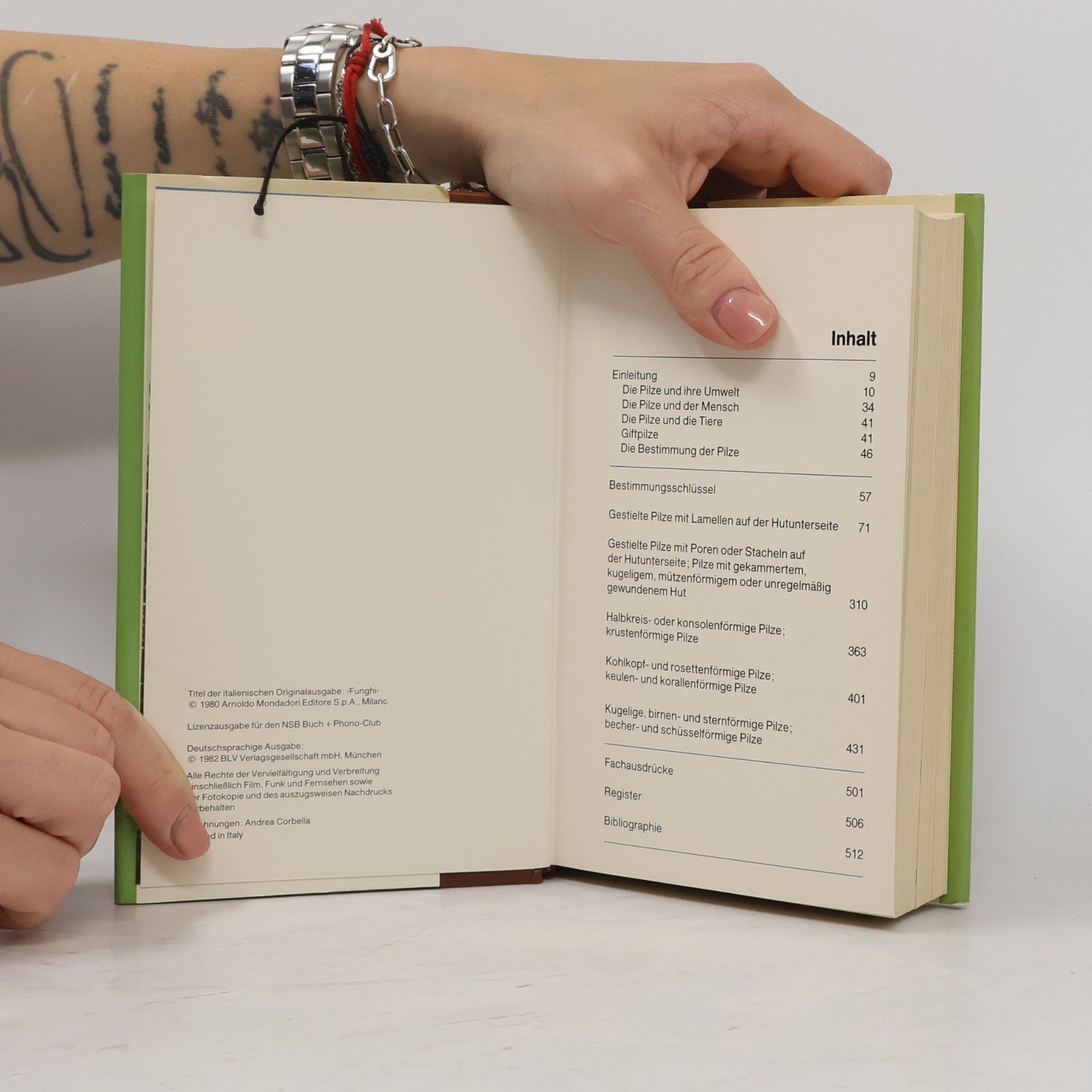 Giovanni Pacioni Das große Handbuch der Pilze