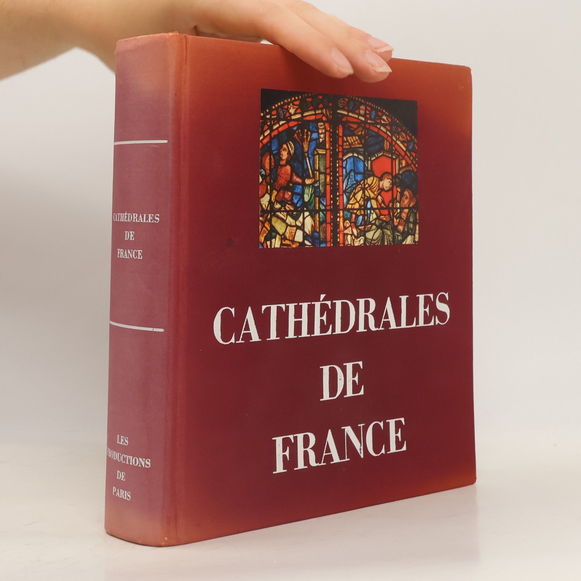 Kolektiv autorů Les Cathédrales de France