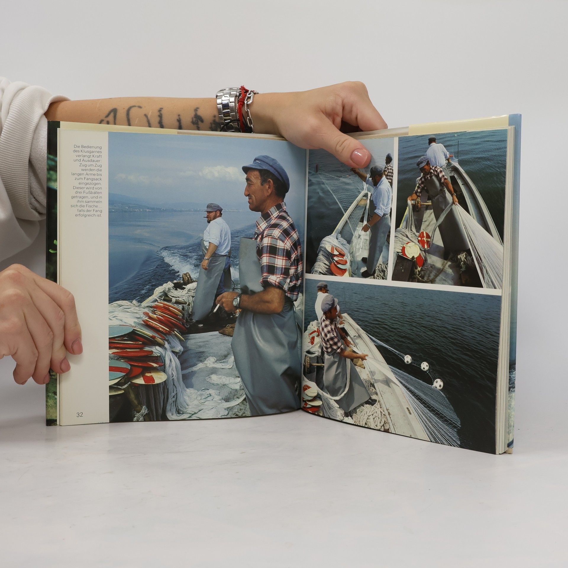 Autorenkollektiv Die Fische unserer Flüsse und Seen