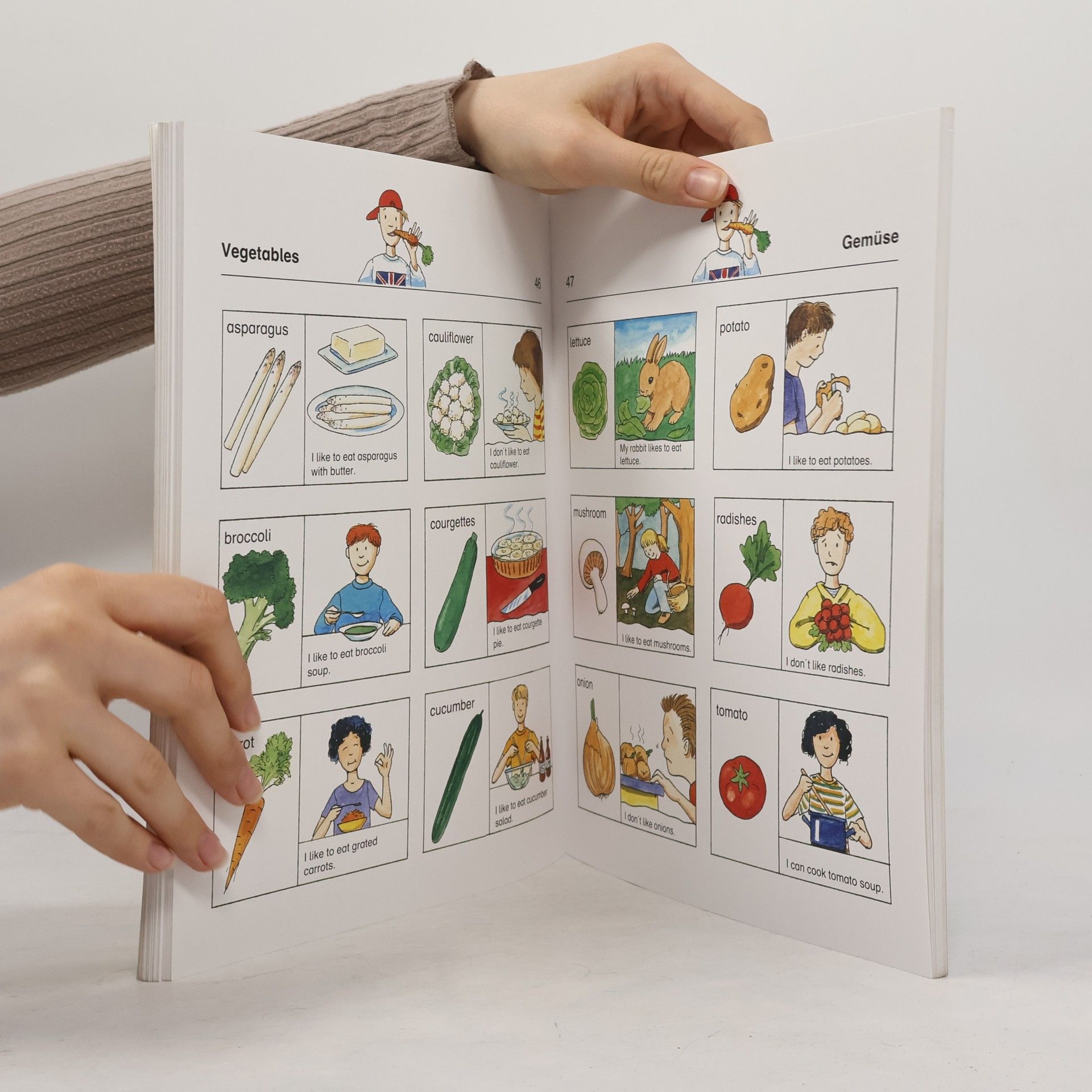 Carola Schäfer Mein erstes Wörterbuch Englisch