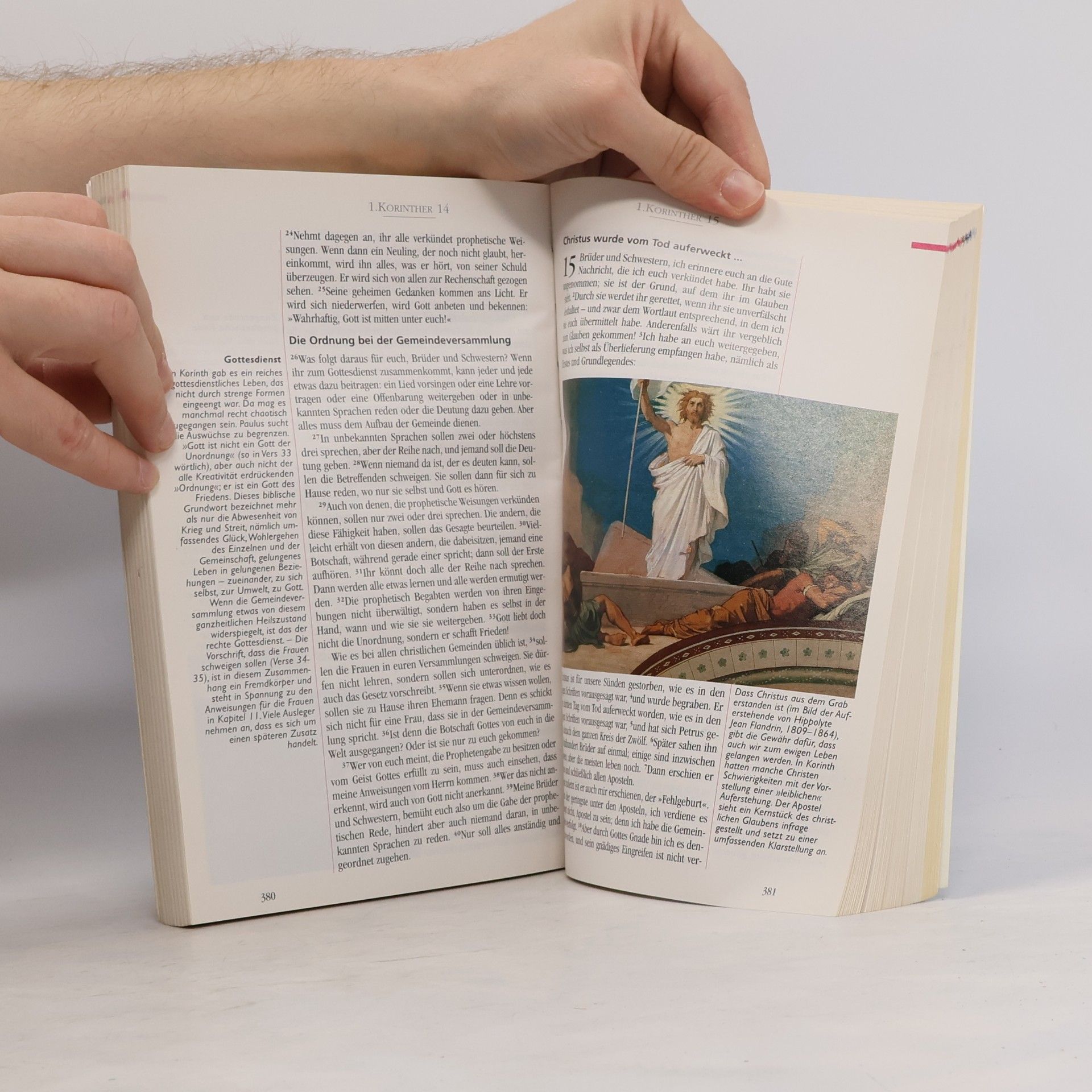 Autorenkollektiv Das Neue: Neues Testament mit Bildern und Erklärungen