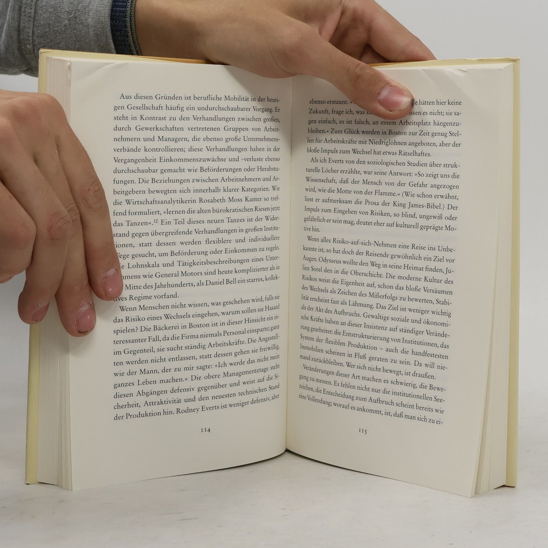 Richard Sennett Der flexible Mensch