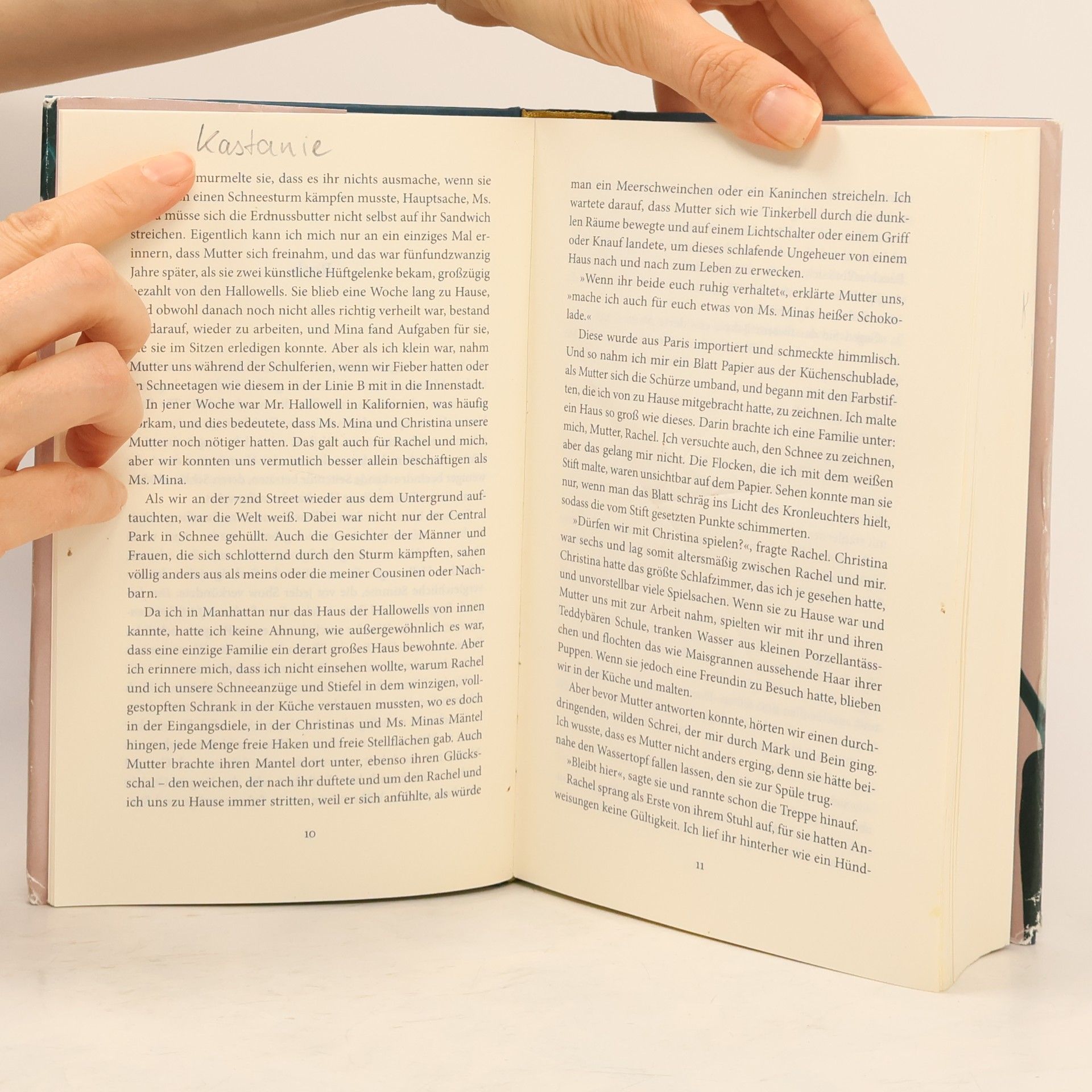 Jodi Picoult Kleine große Schritte
