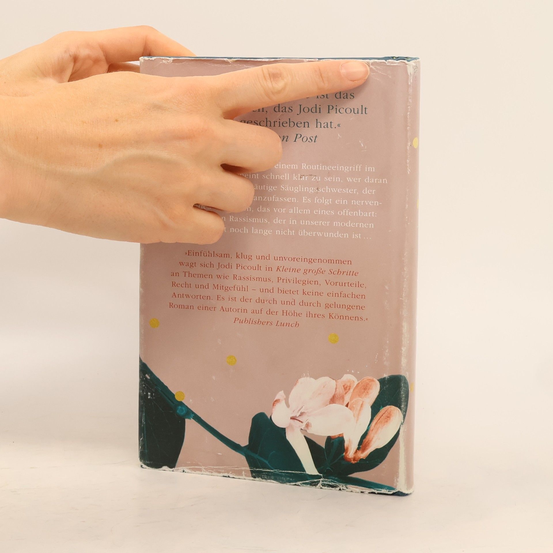 Jodi Picoult Kleine große Schritte