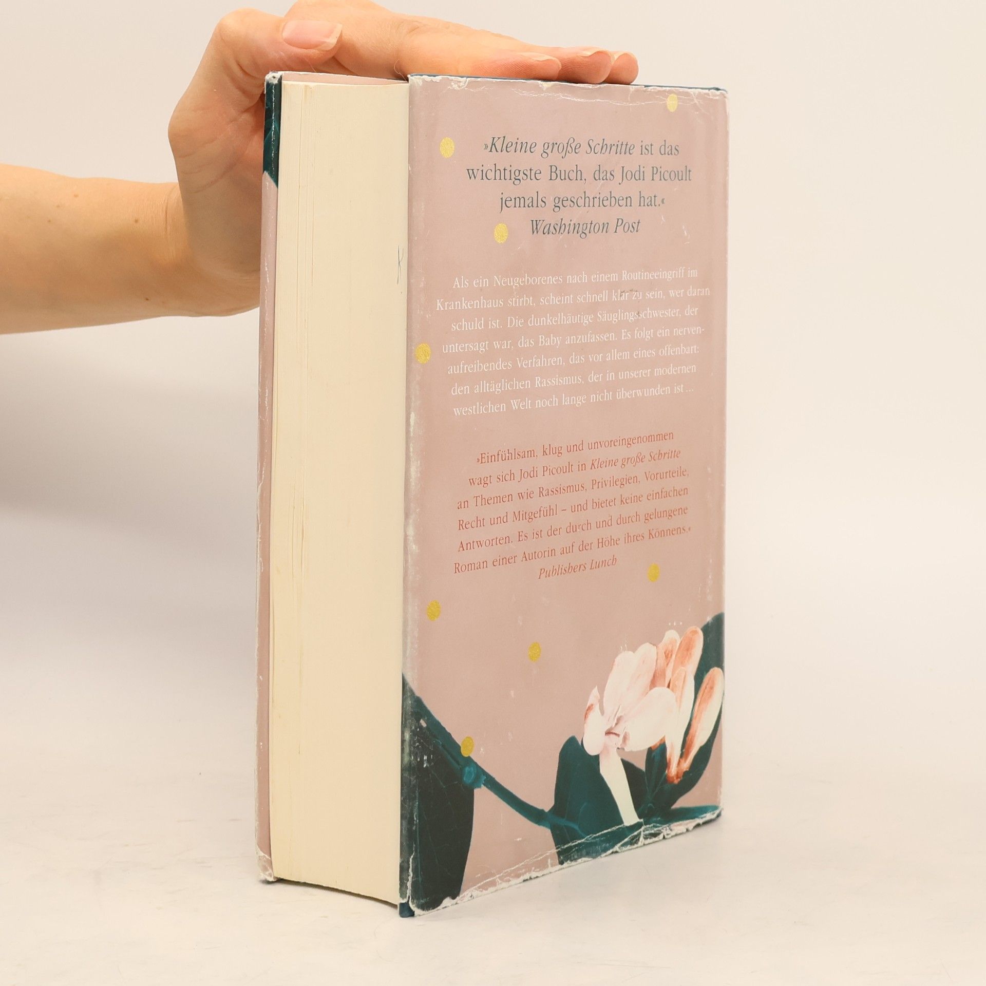 Jodi Picoult Kleine große Schritte