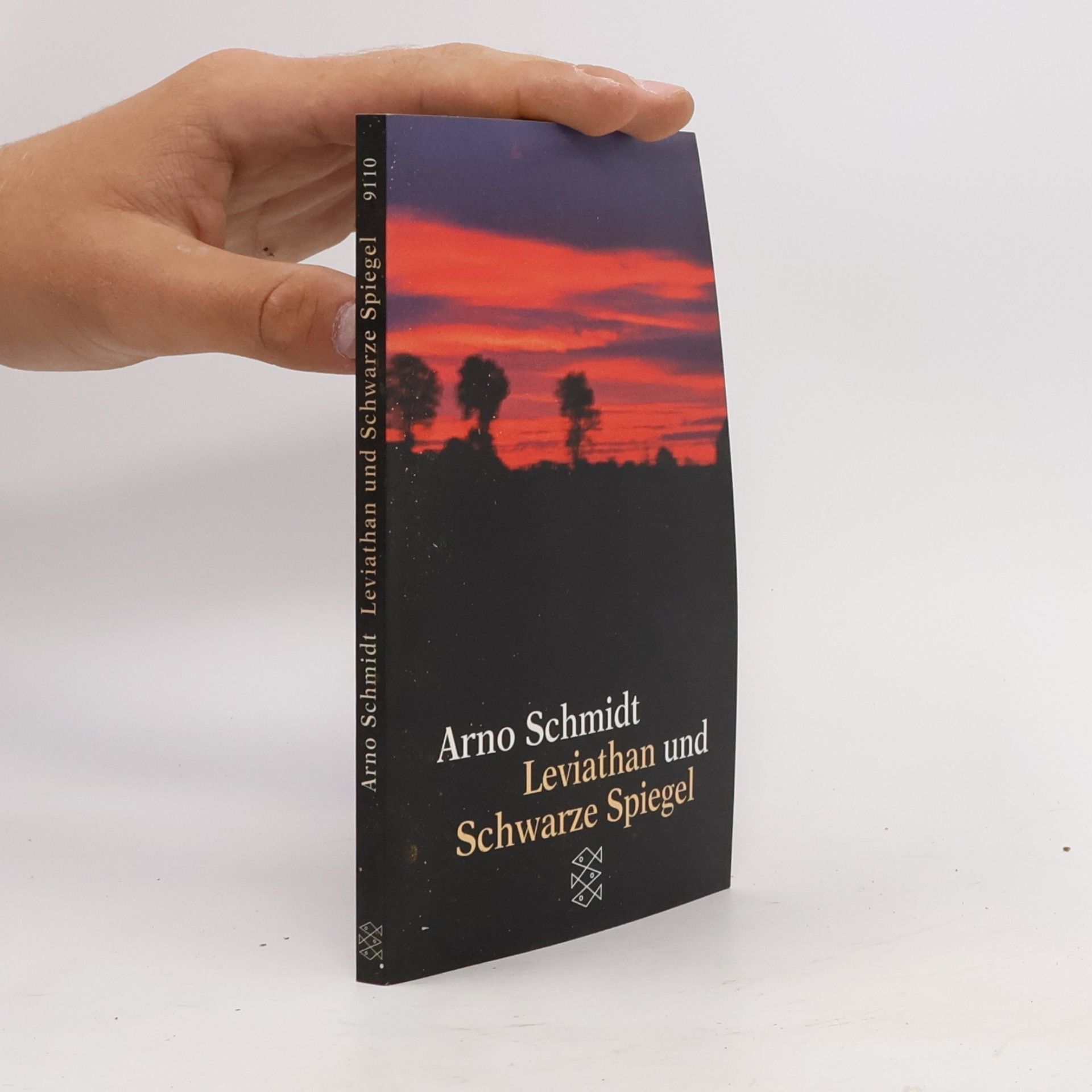 Arno Schmidt Leviathan und Schwarze Spiegel