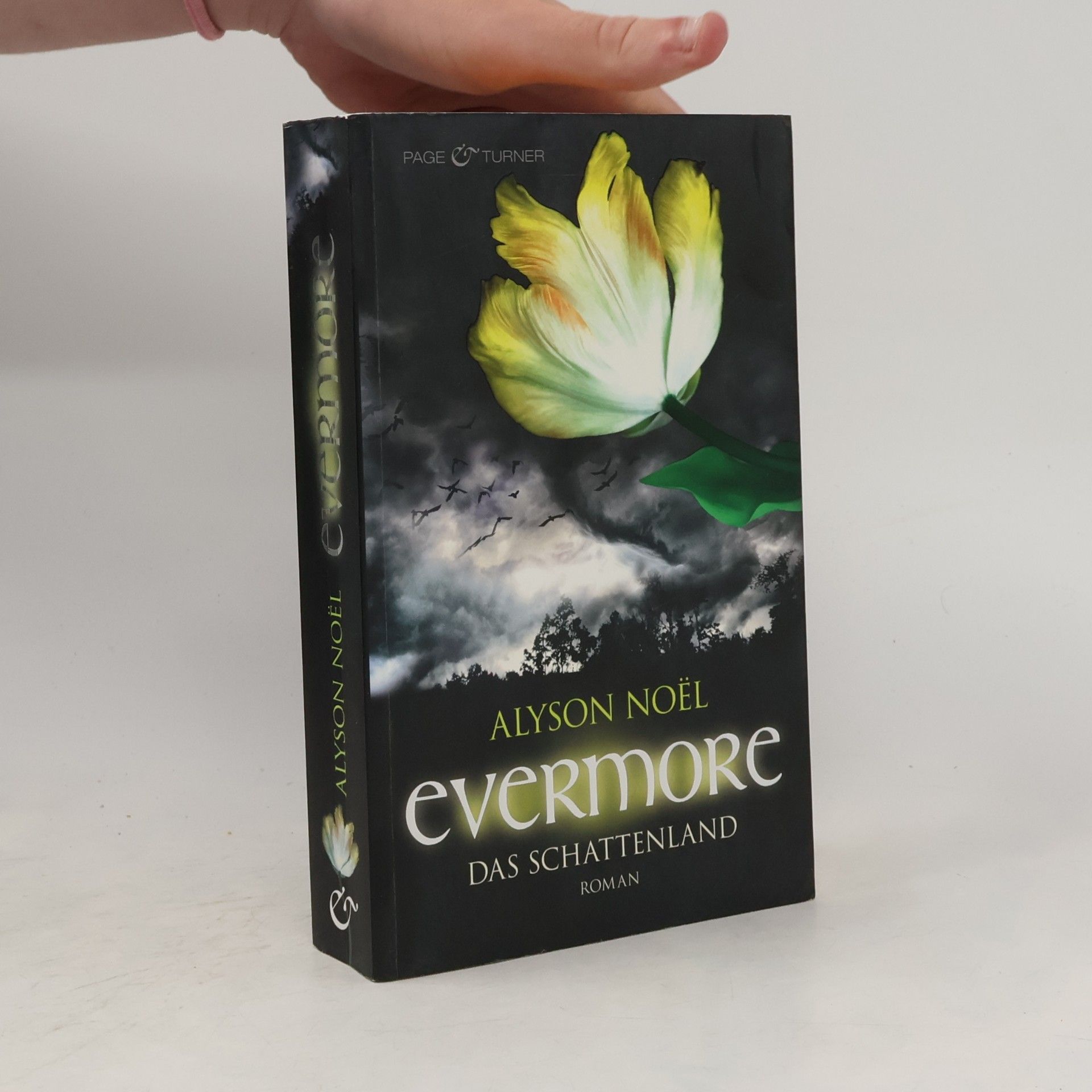 Evermore: Das Schattenland