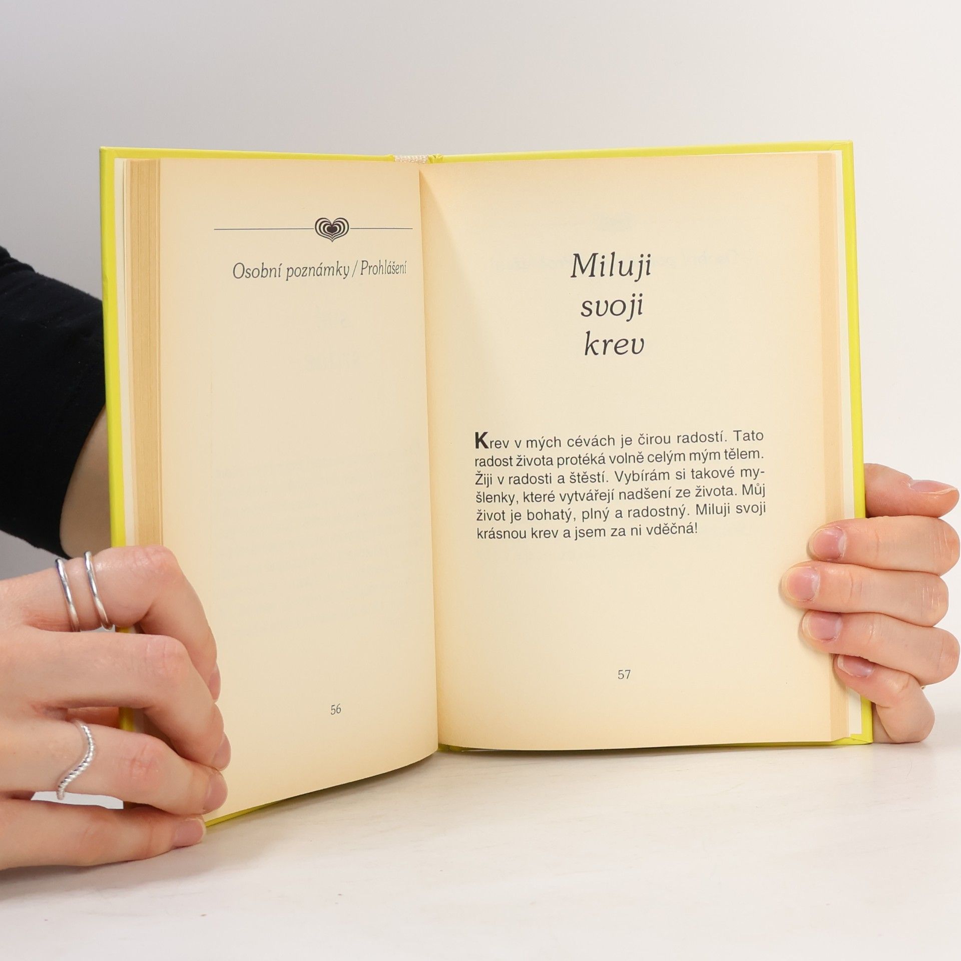 Louise Lynn Hay Milujte své tělo