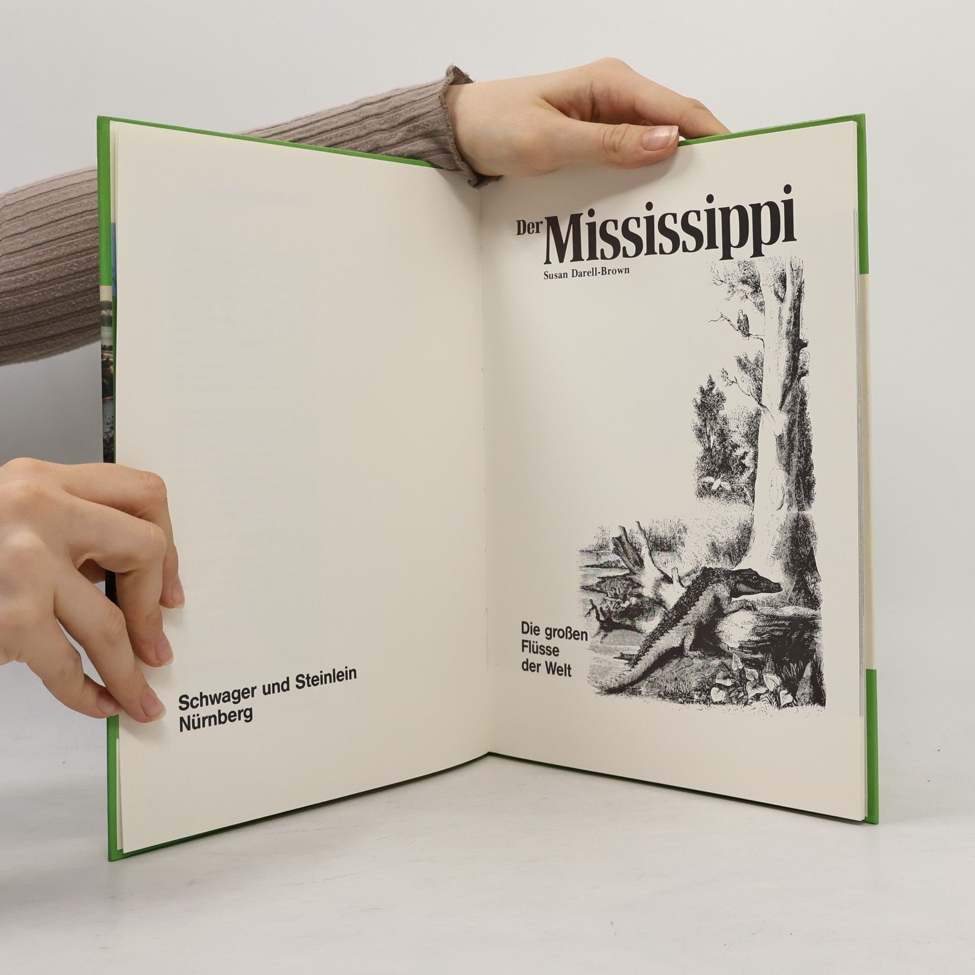 Susan Darell-Brown Der Mississippi