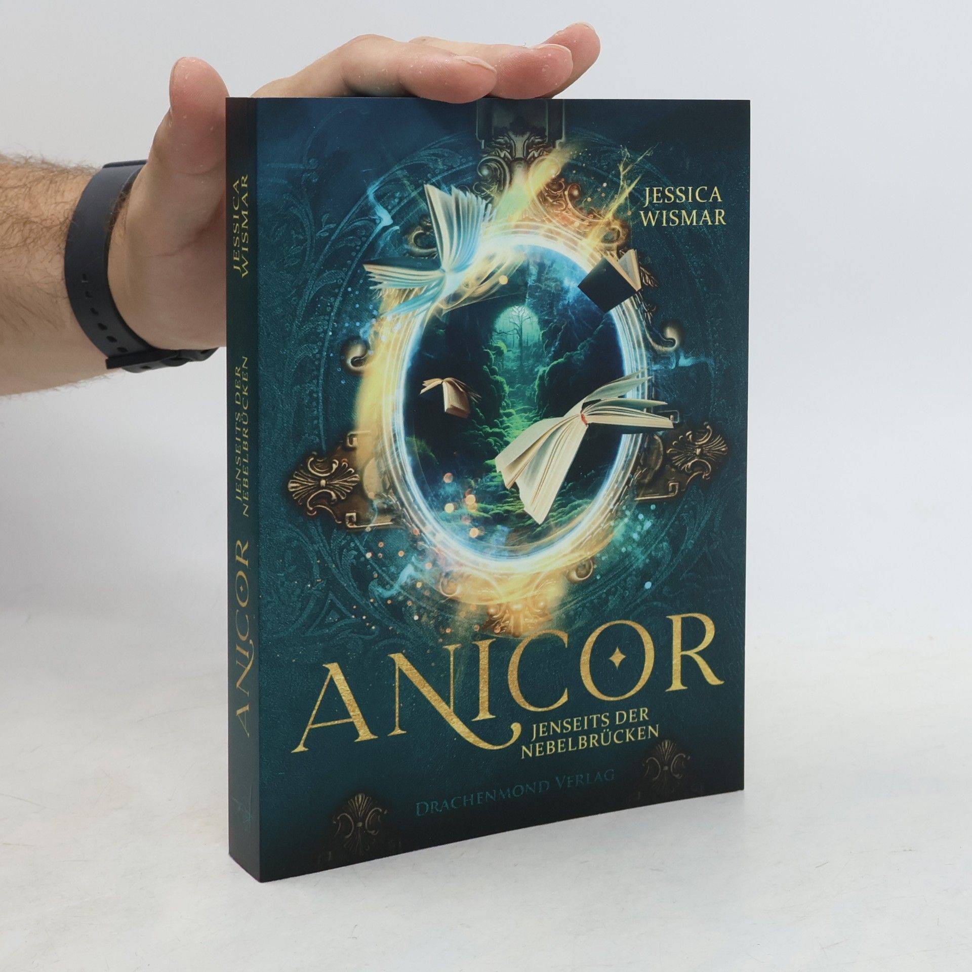 Anicor - Jenseits der Nebelbrücken