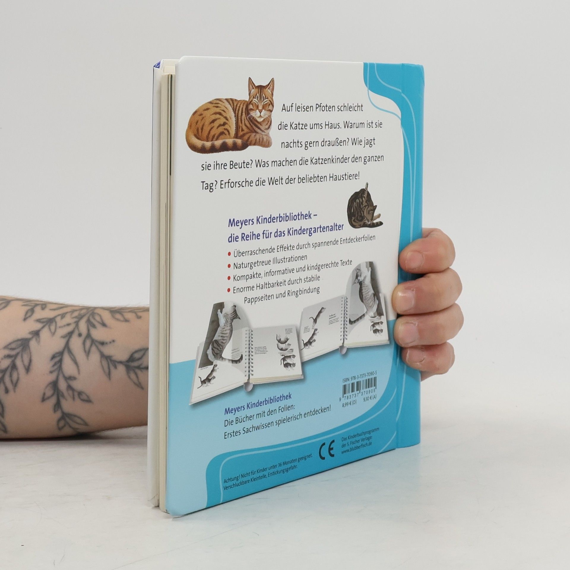 Autorenkollektiv Die Katze. Meyers Kinderbibliothek