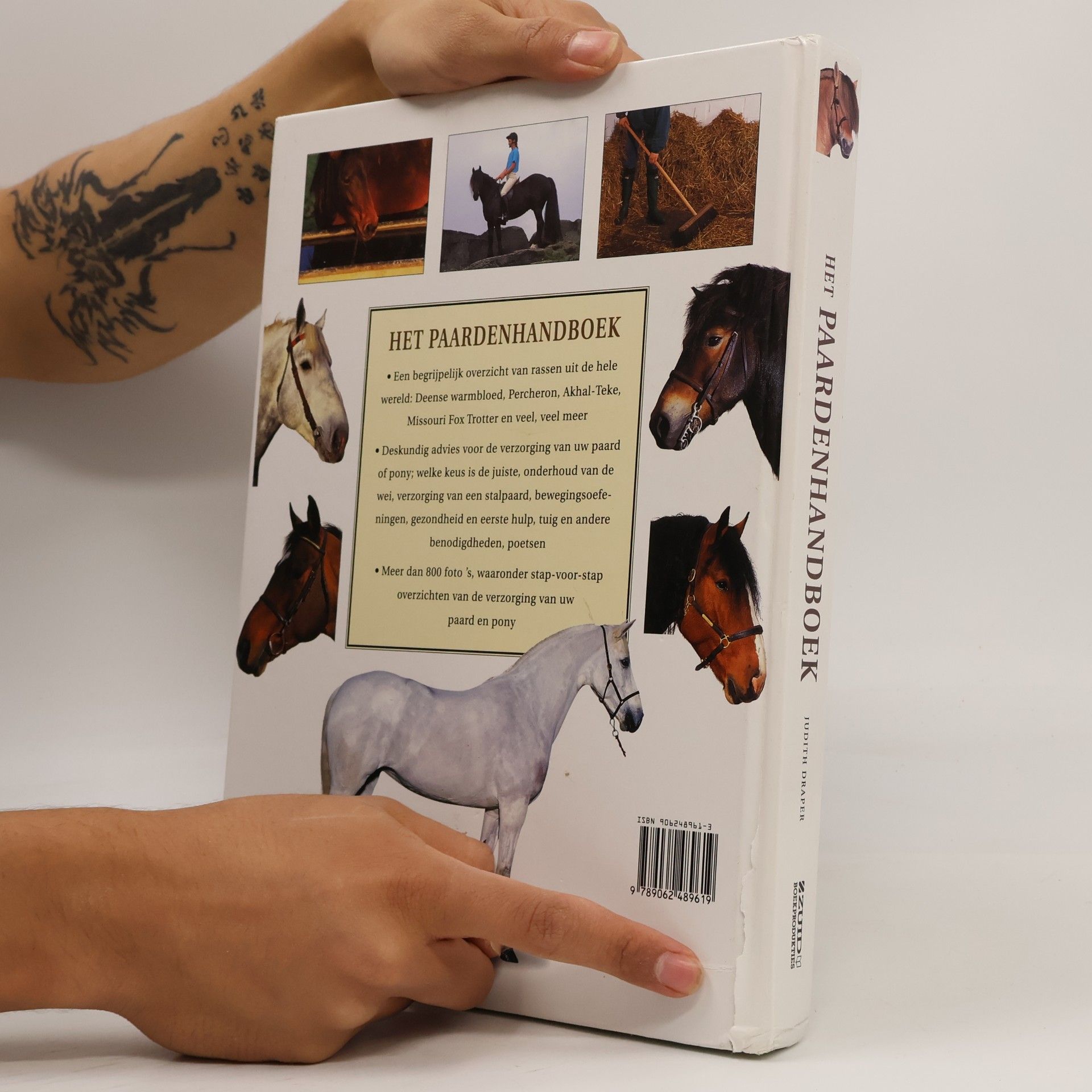 Judith Draper Het paarden handboek