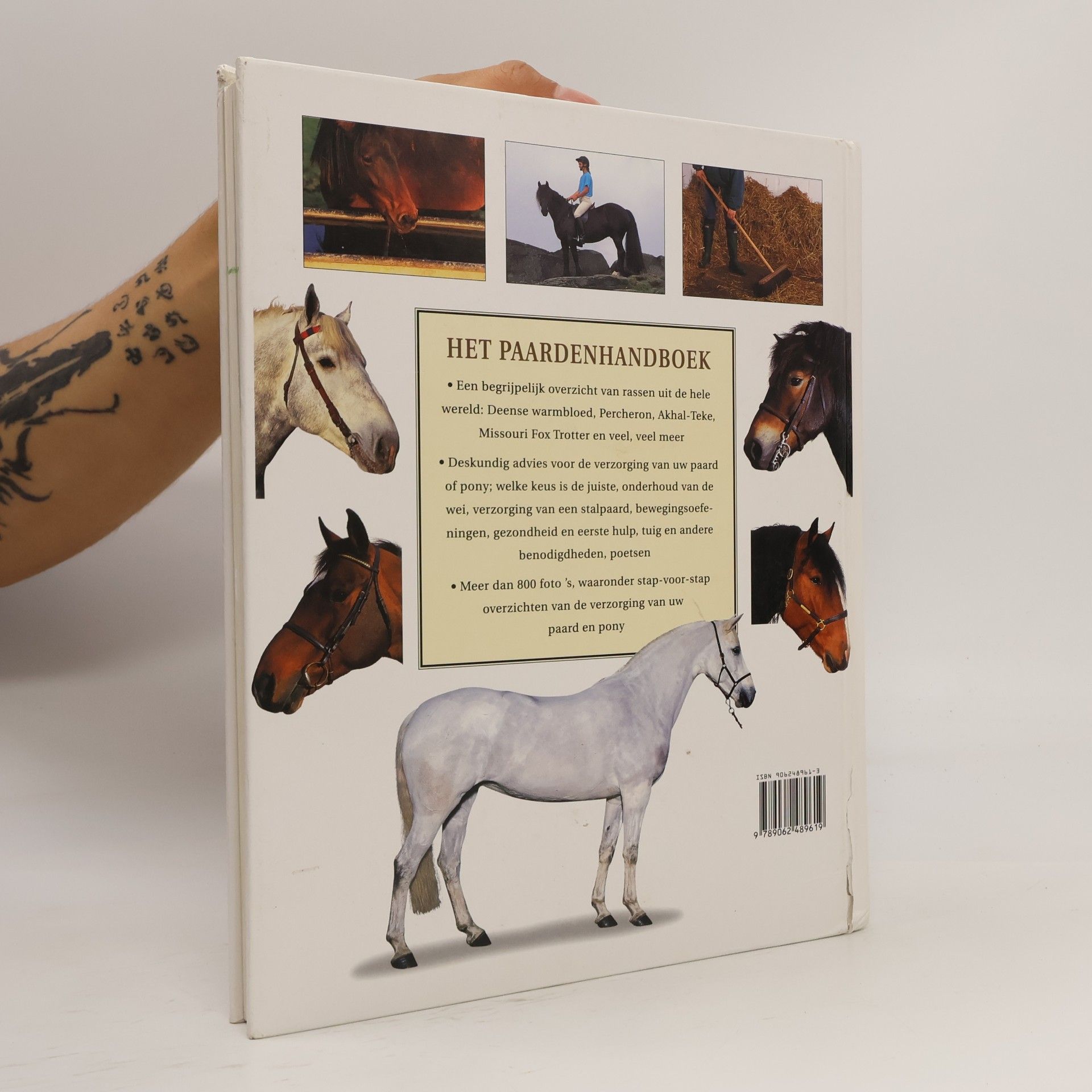 Judith Draper Het paarden handboek