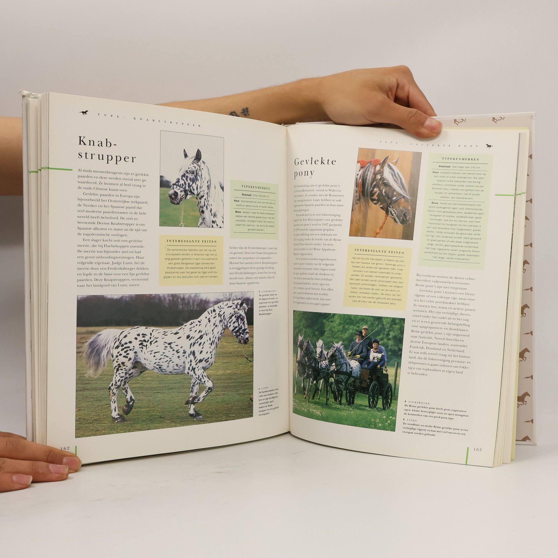 Judith Draper Het paarden handboek