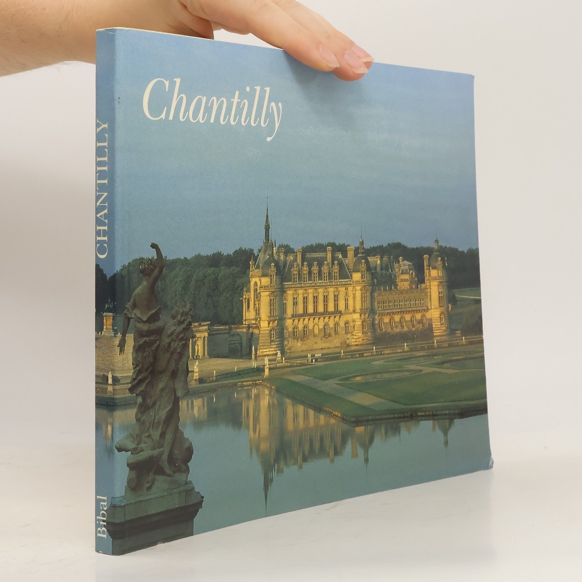 Autores varios Chantilly