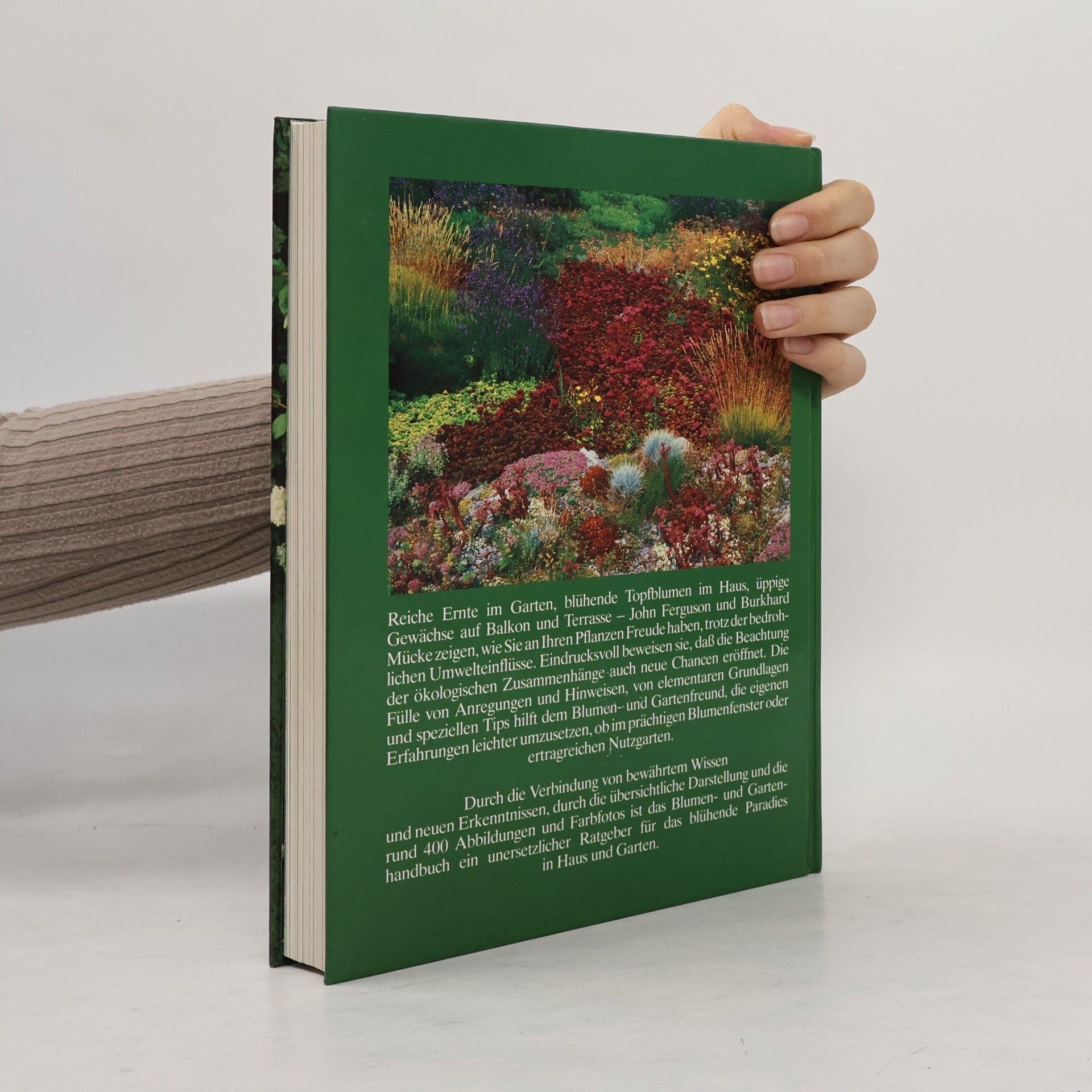 John Ferguson Blumen und Garten