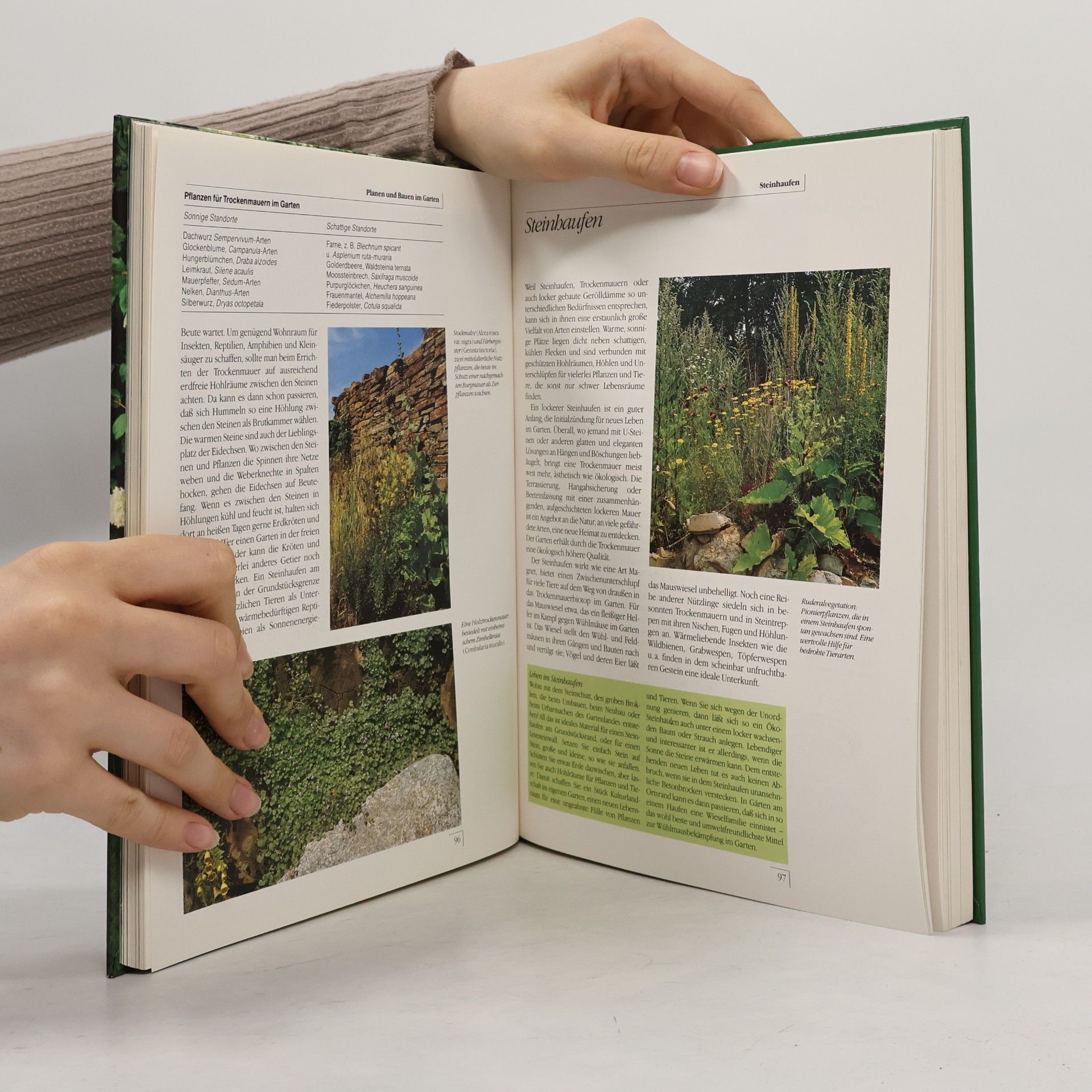 John Ferguson Blumen und Garten