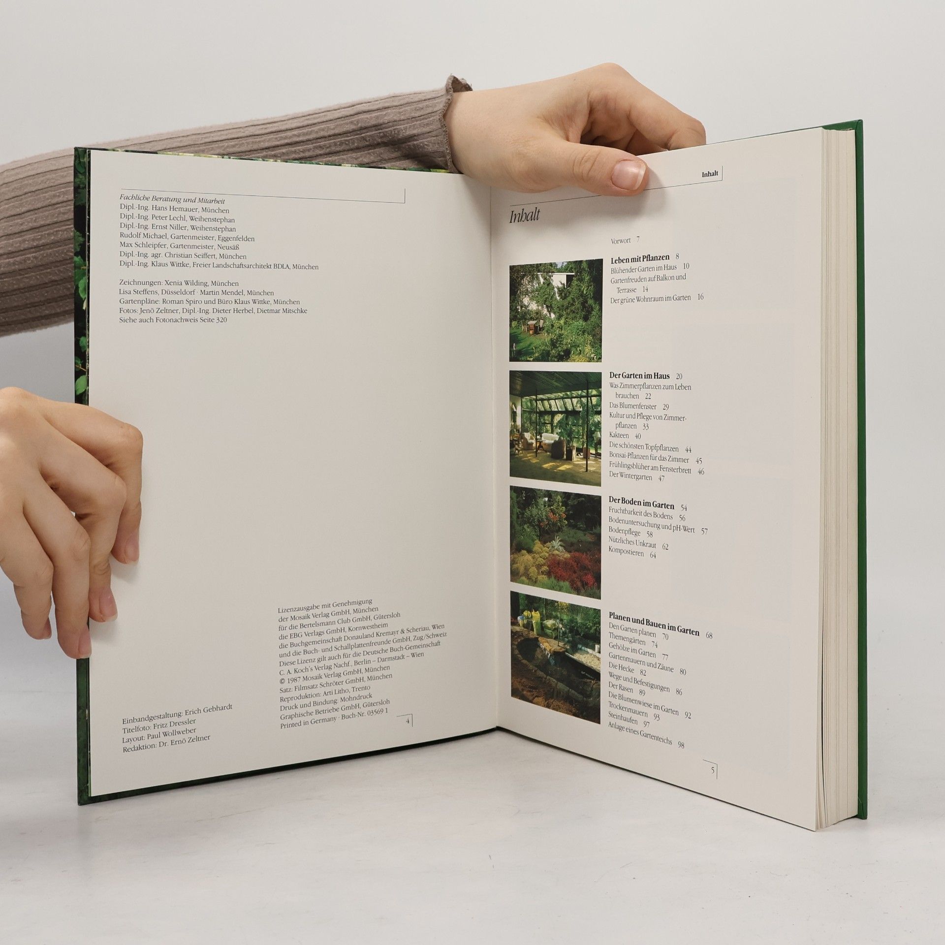 John Ferguson Blumen und Garten