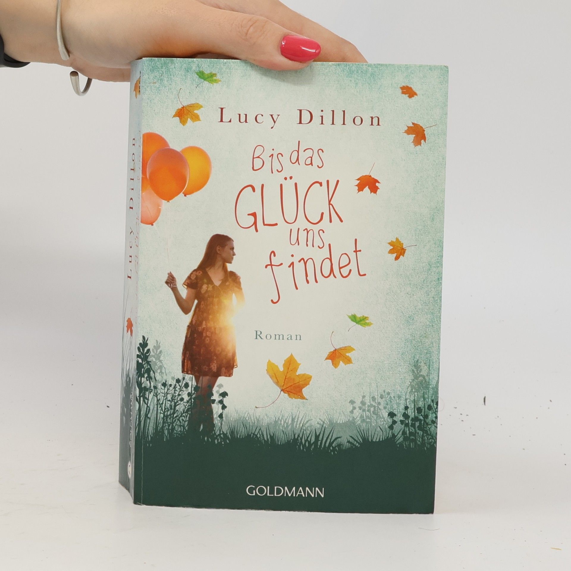 Lucy Dillon Bis das Glück uns findet
