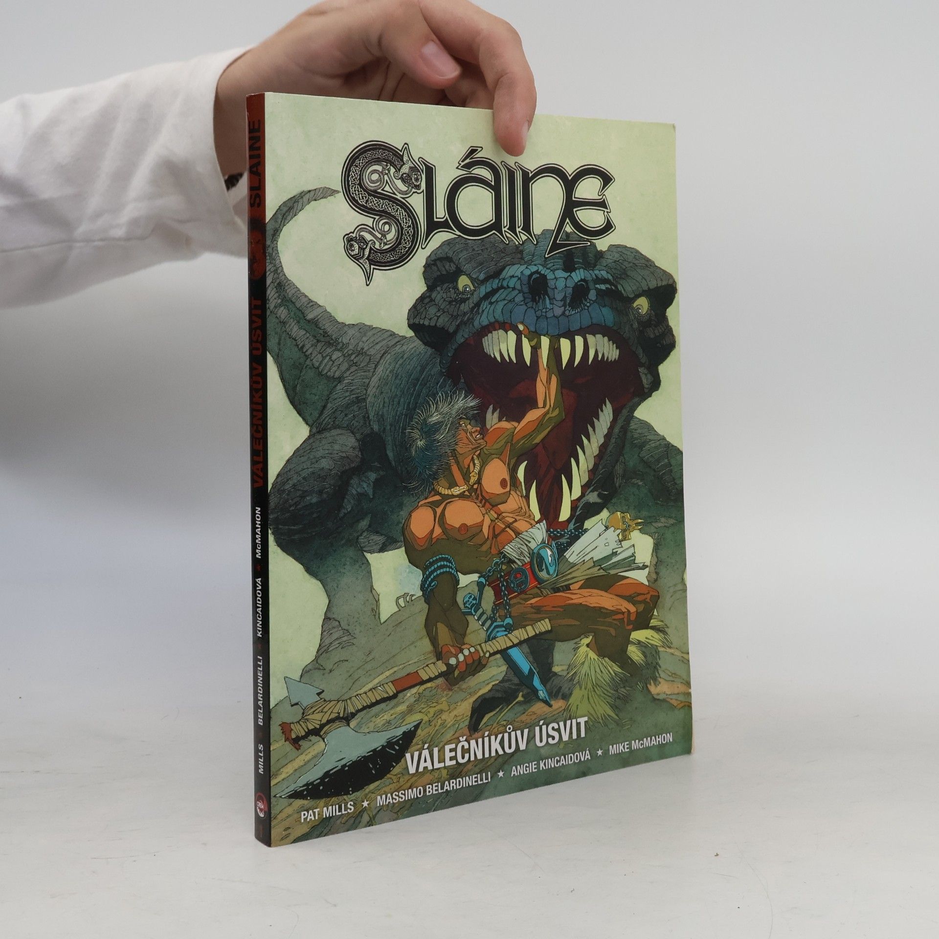 Sláine: Válečníkův úsvit