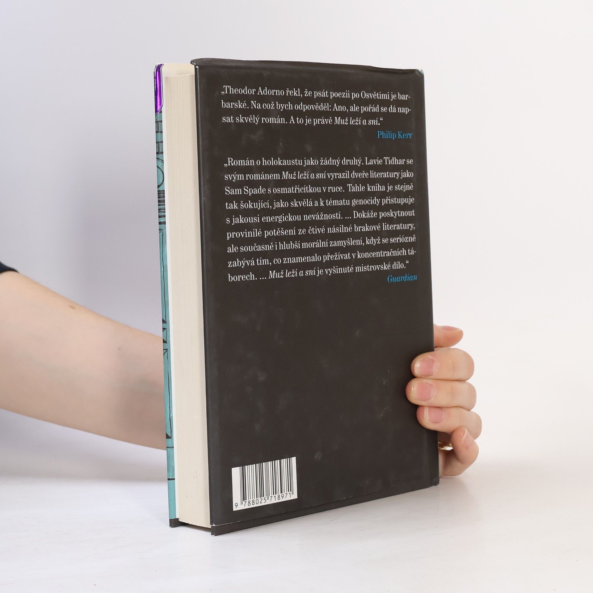 Lavie Tidhar Muž leží a sní