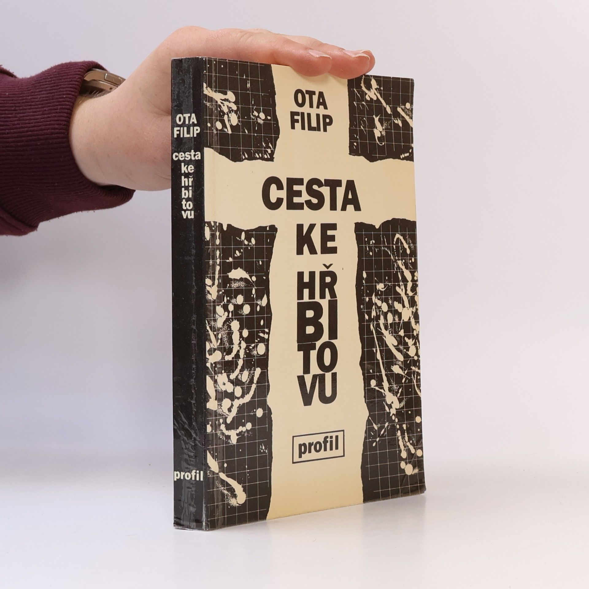 Ota Filip Cesta ke hřbitovu
