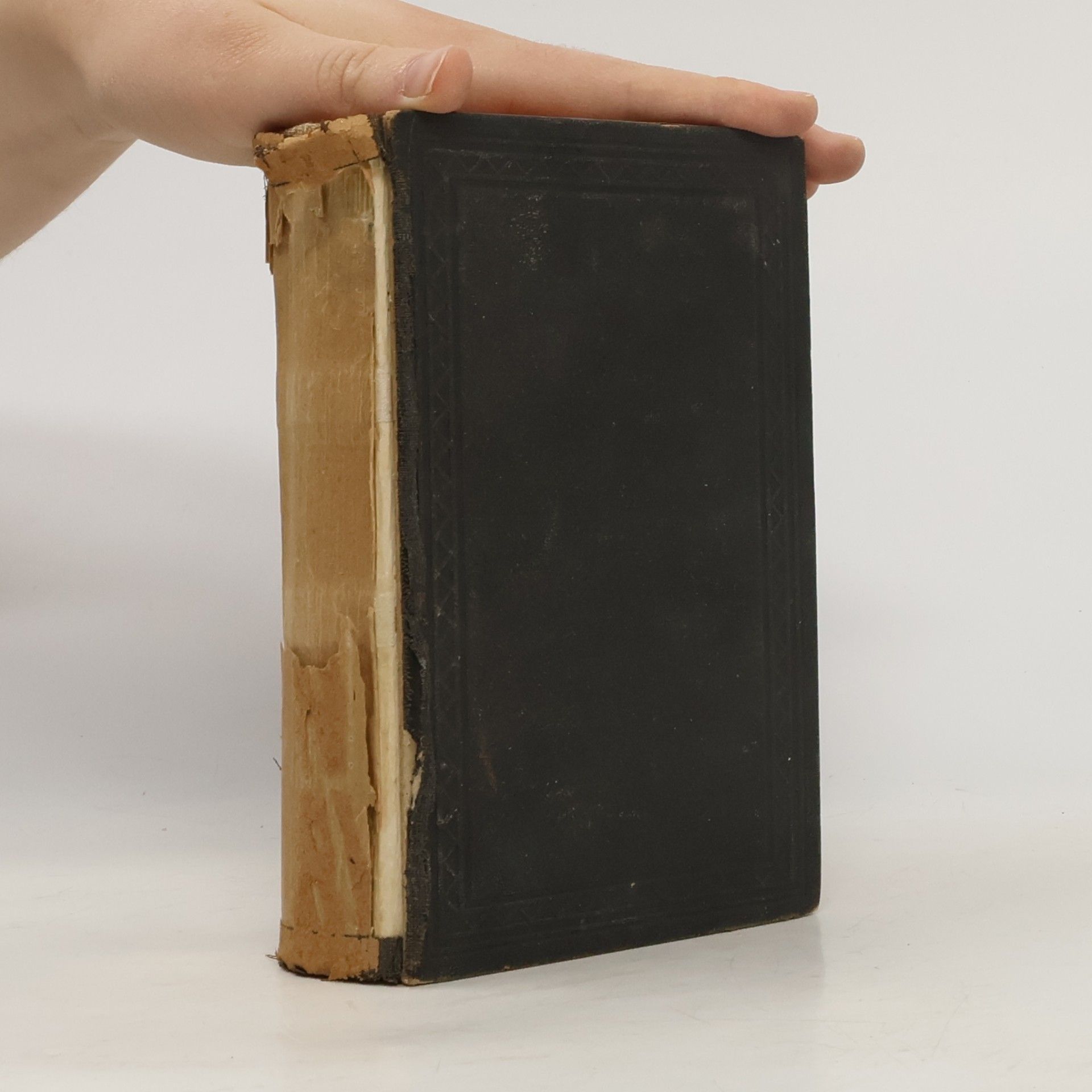 Kolektiv autorů Biblí svatá aneb všecka svatá písma starého i nového zákona
