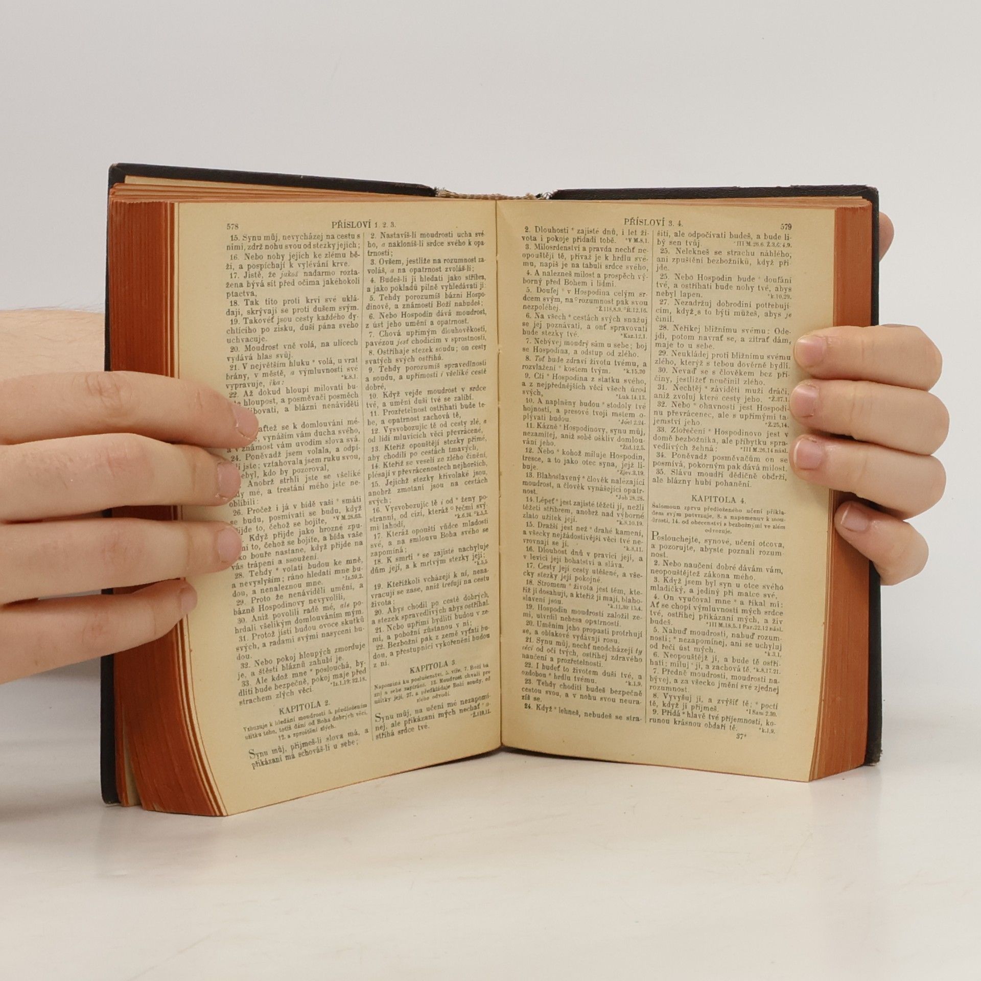Kolektiv autorů Biblí svatá aneb všecka svatá písma starého i nového zákona