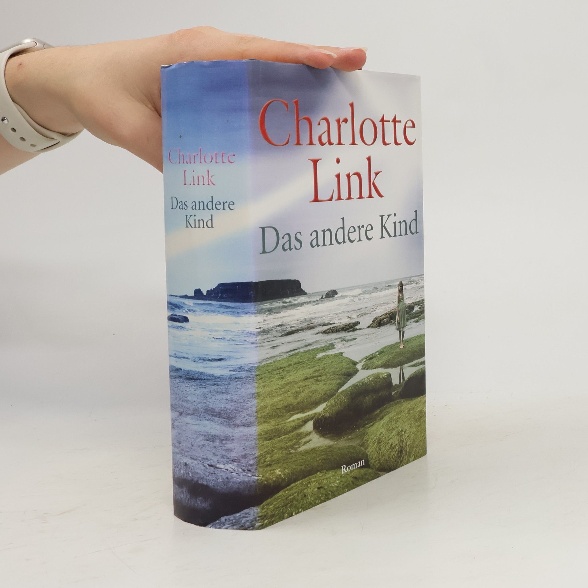 Charlotte Link Das andere Kind