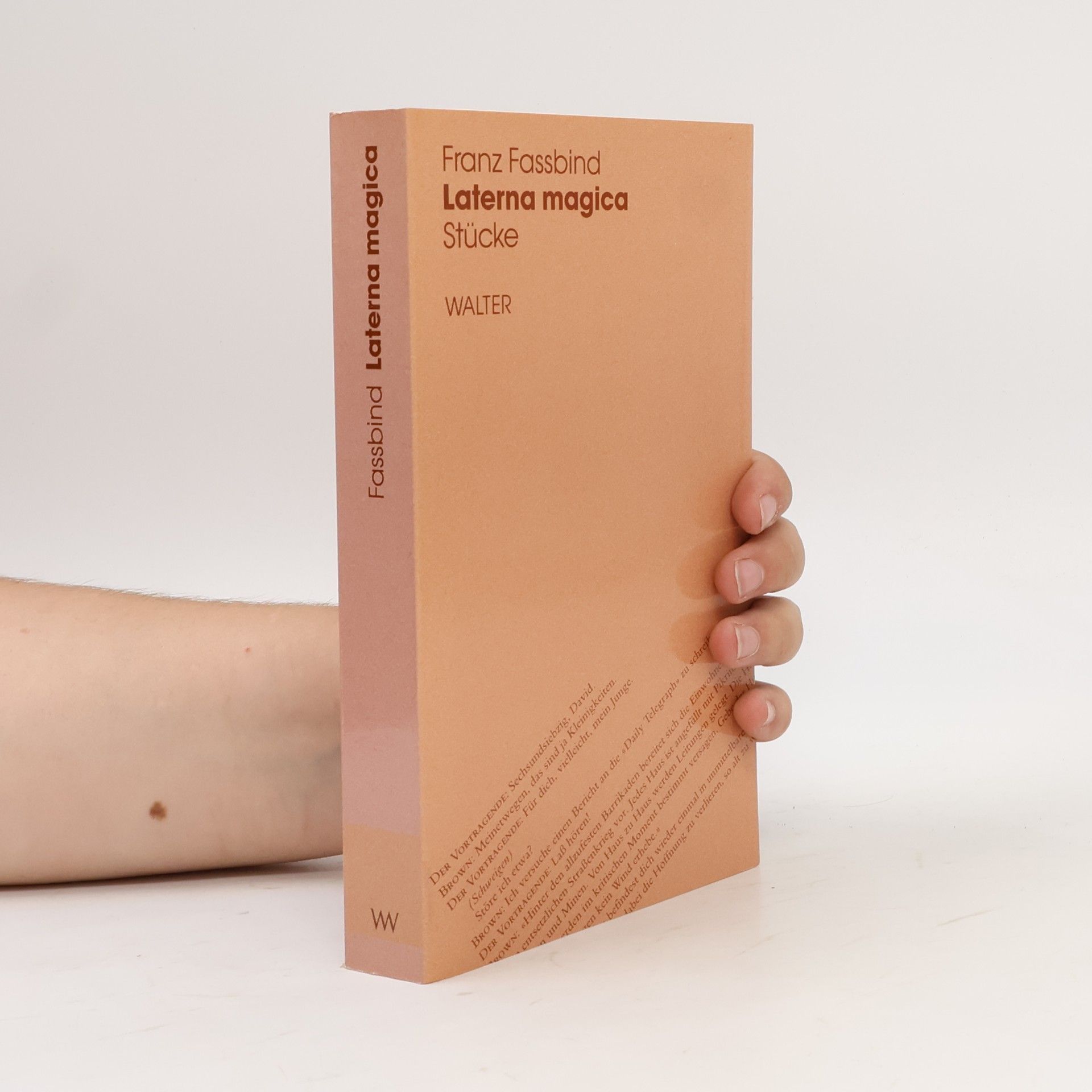 Werkausgabe in Einzelbänden - 4: Laterna magica