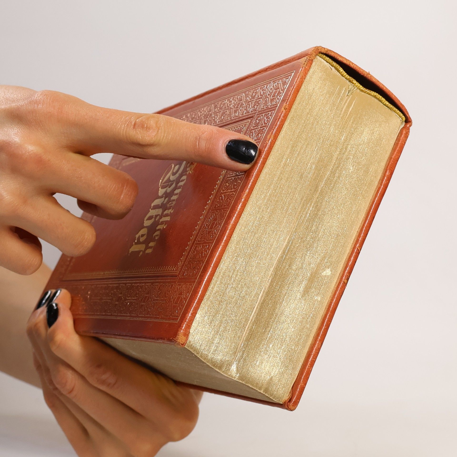 AA.VV. Familien Bibel