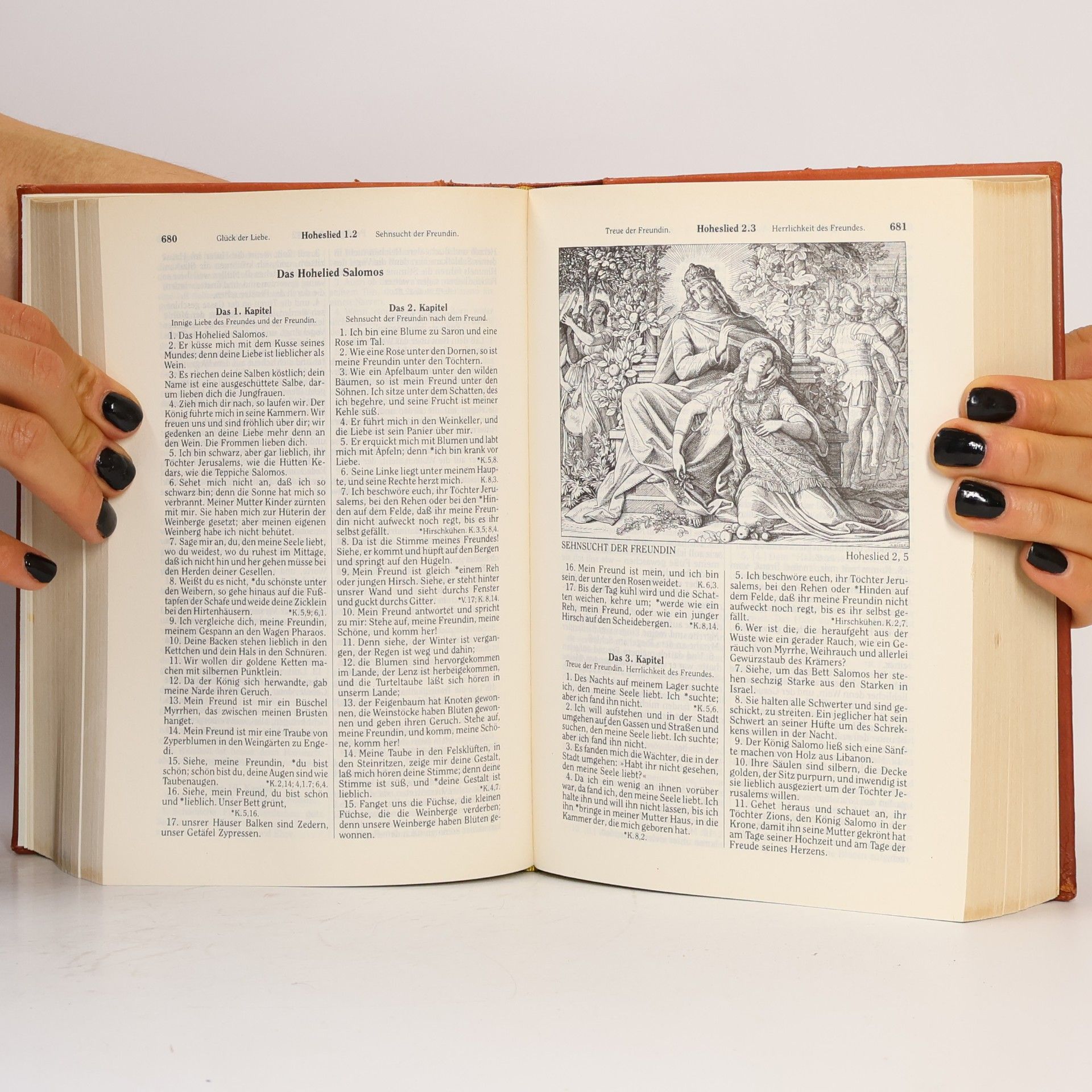 AA.VV. Familien Bibel