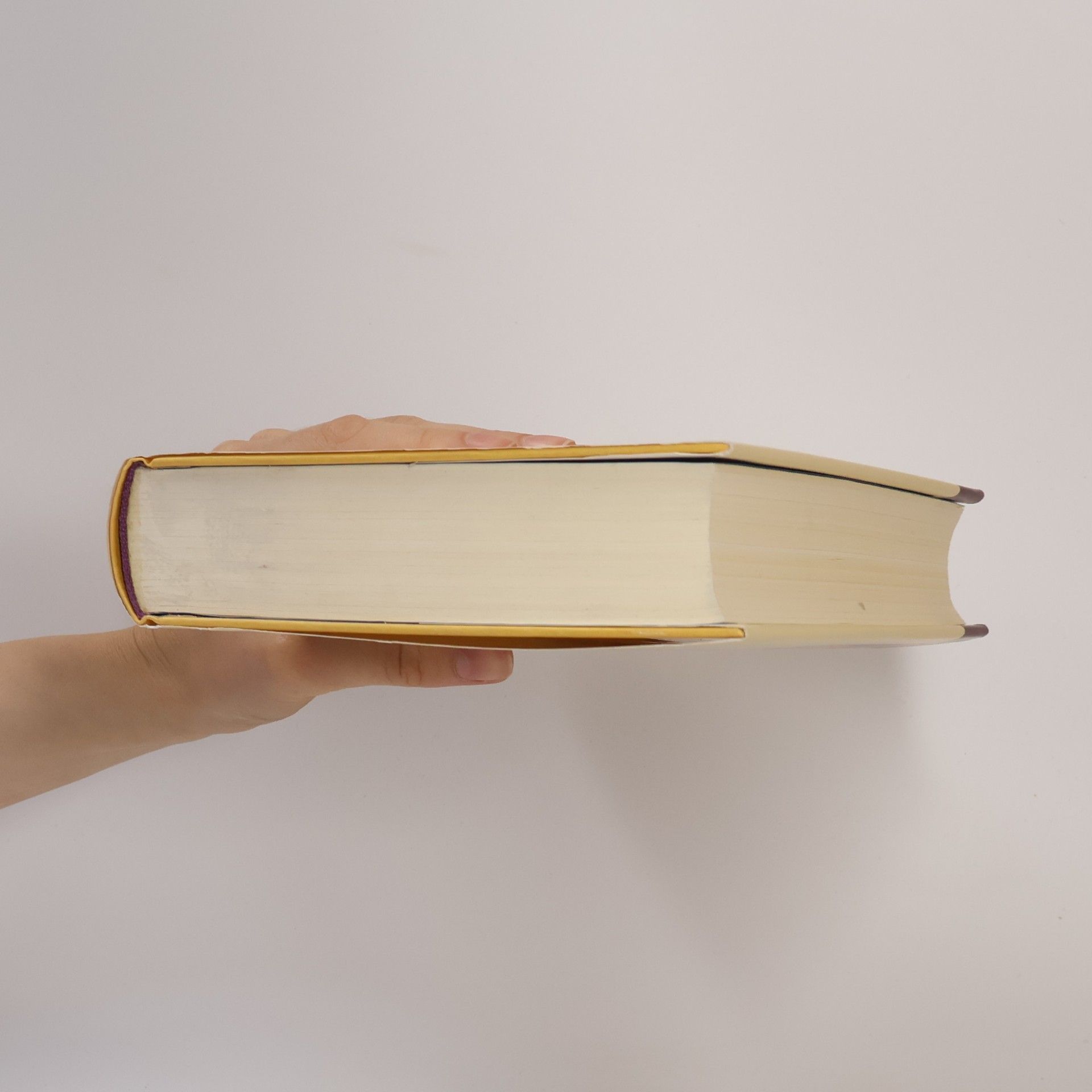 Michael Blum Die Bibel
